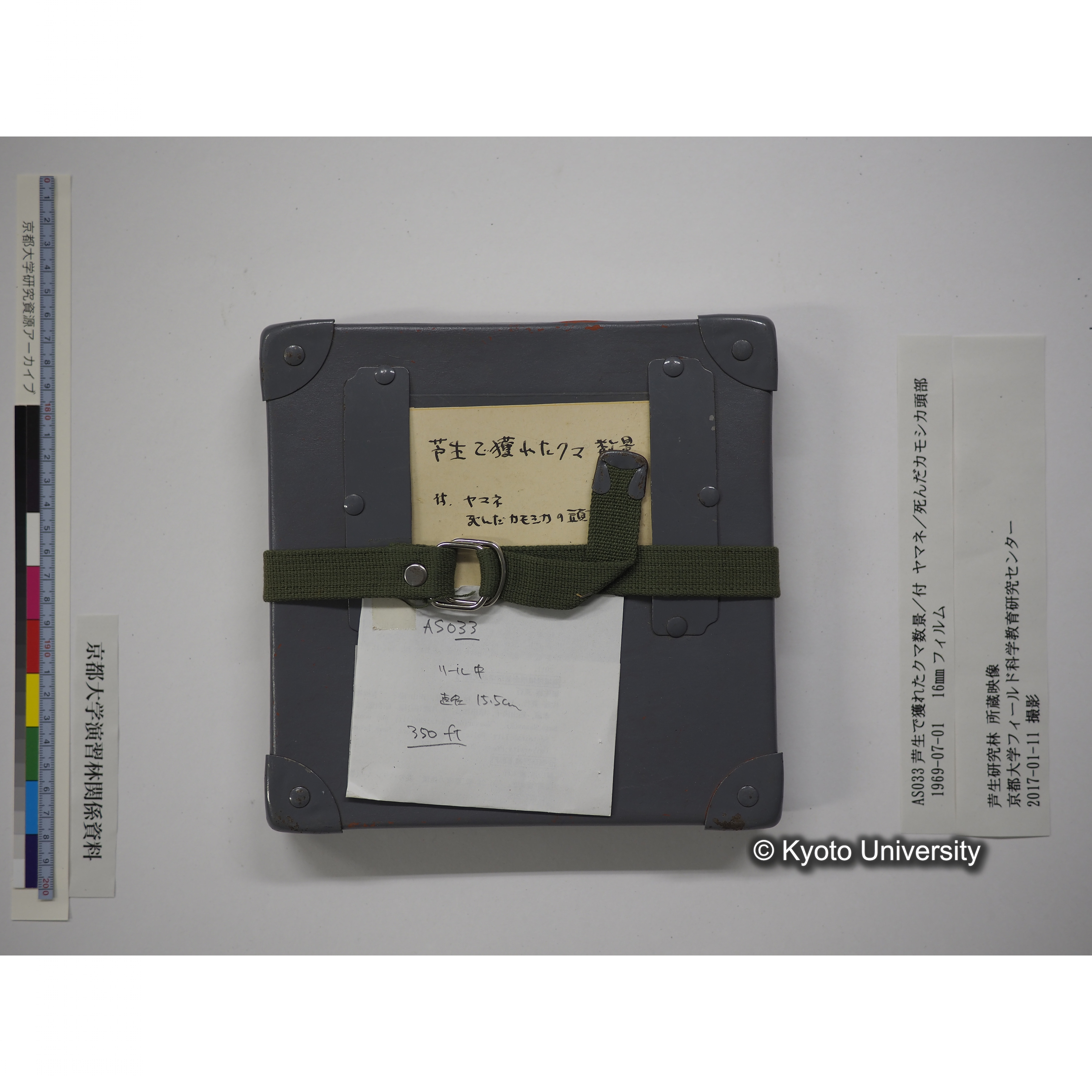 芦生で獲れたクマ数景／付 ヤマネ／死んだカモシカ頭部 1969.07.01 (14)