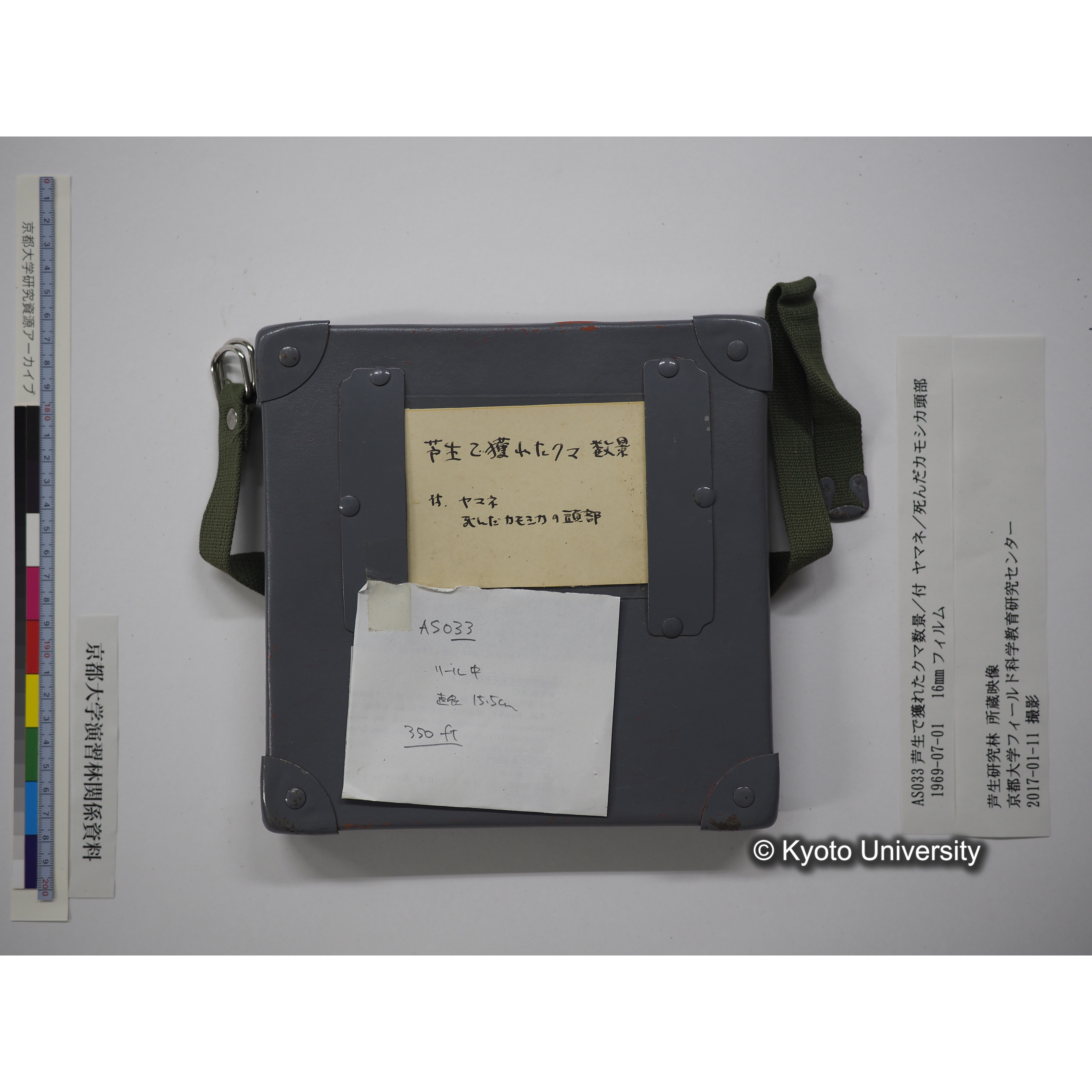 芦生で獲れたクマ数景／付 ヤマネ／死んだカモシカ頭部 1969.07.01 (15)