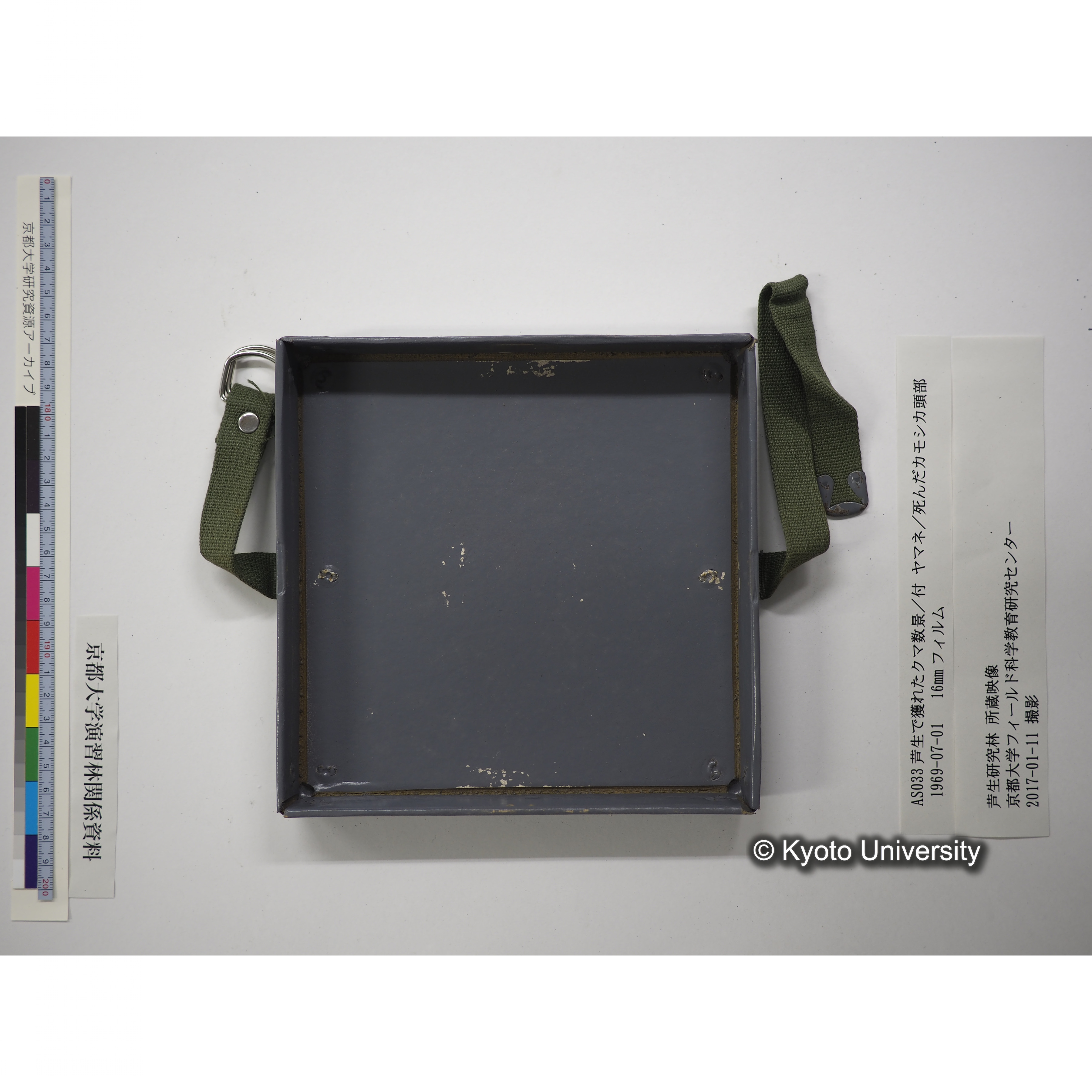 芦生で獲れたクマ数景／付 ヤマネ／死んだカモシカ頭部 1969.07.01 (17)