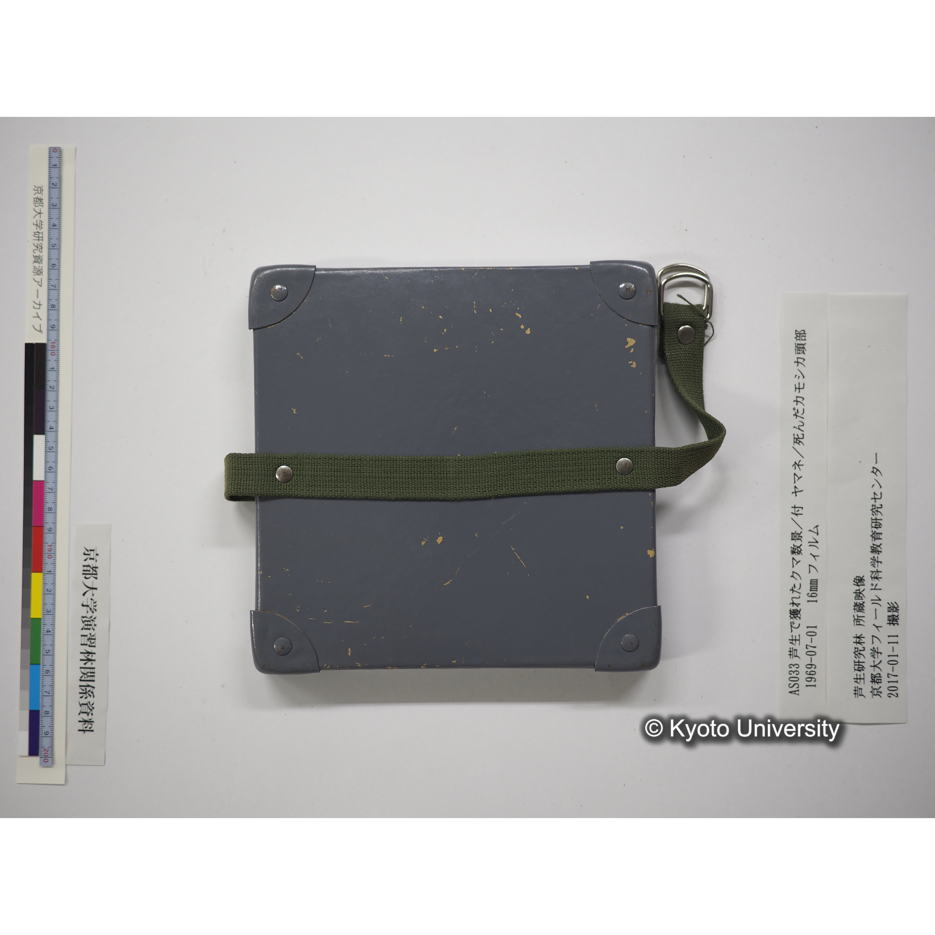 芦生で獲れたクマ数景／付 ヤマネ／死んだカモシカ頭部 1969.07.01 (22)