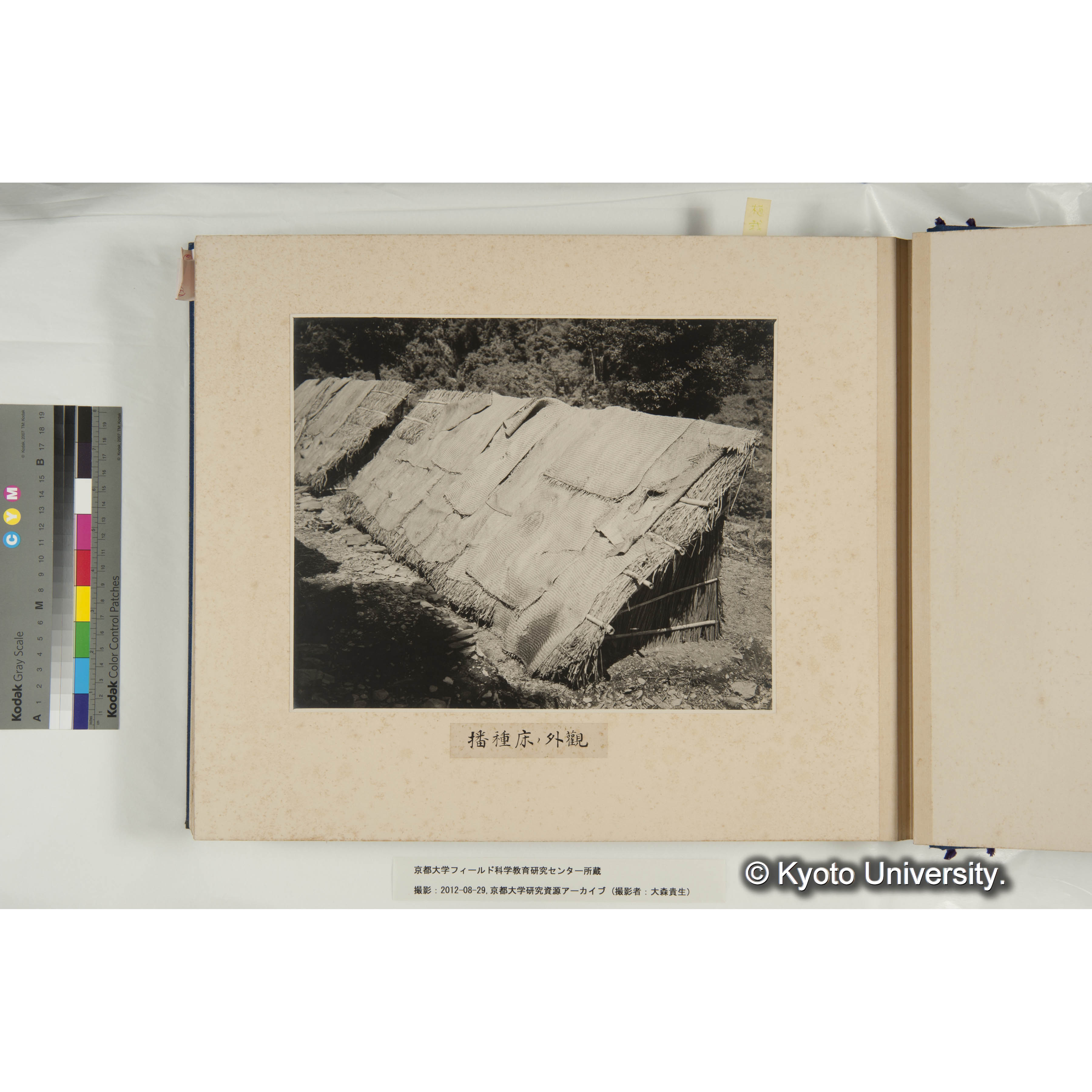 規那樹播種床の外観 (1)