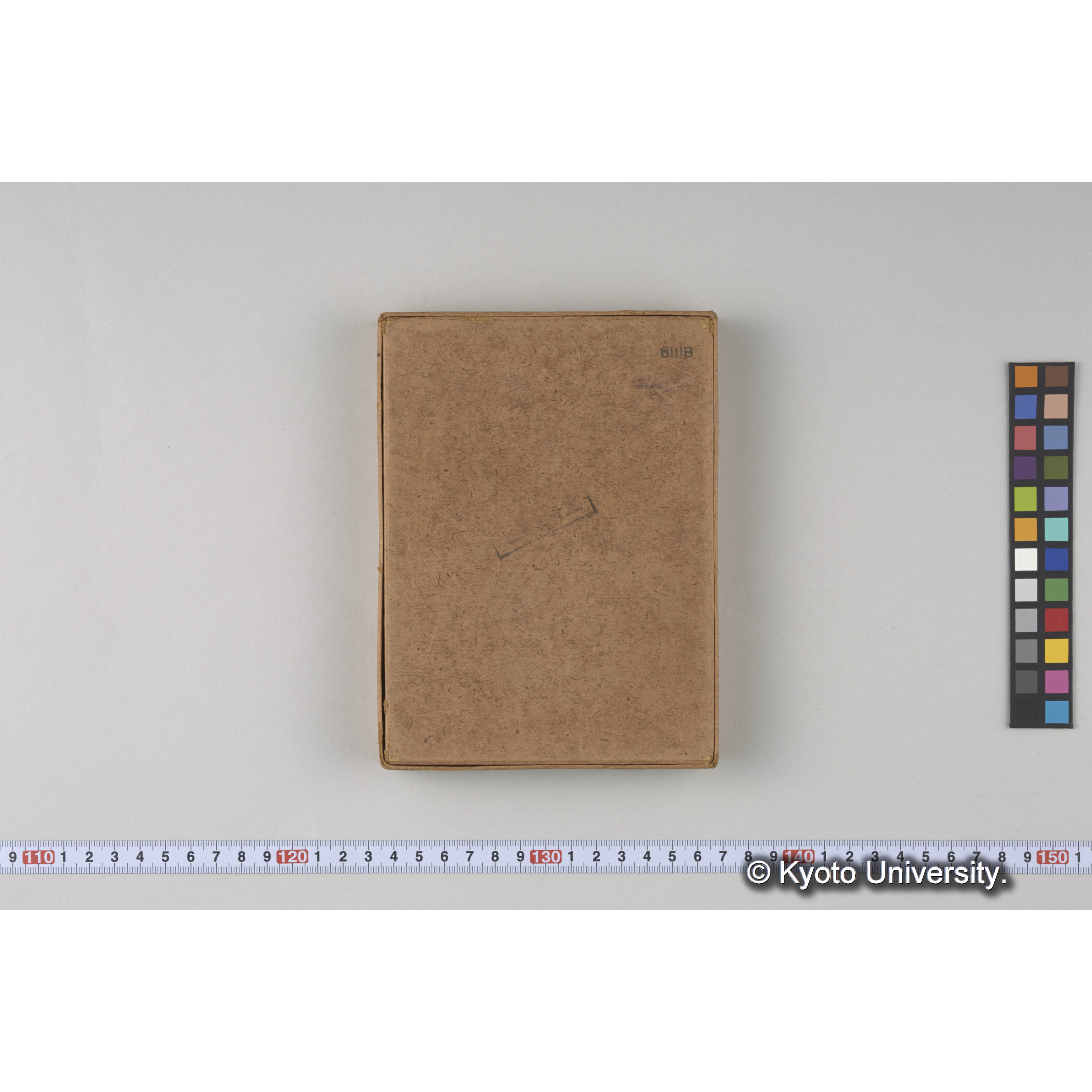 ガラス乾板樺太01 (4)