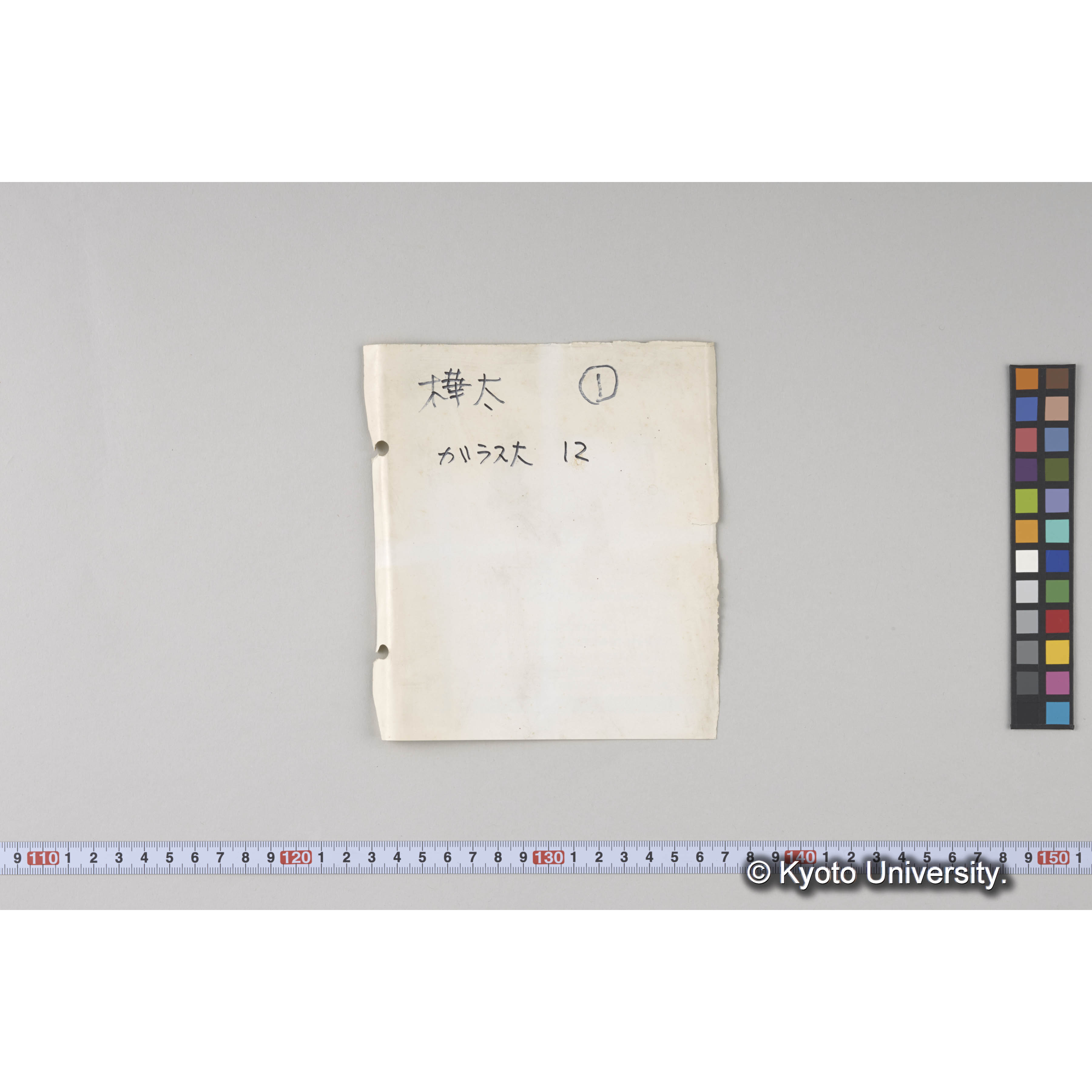 ガラス乾板樺太01 (5)