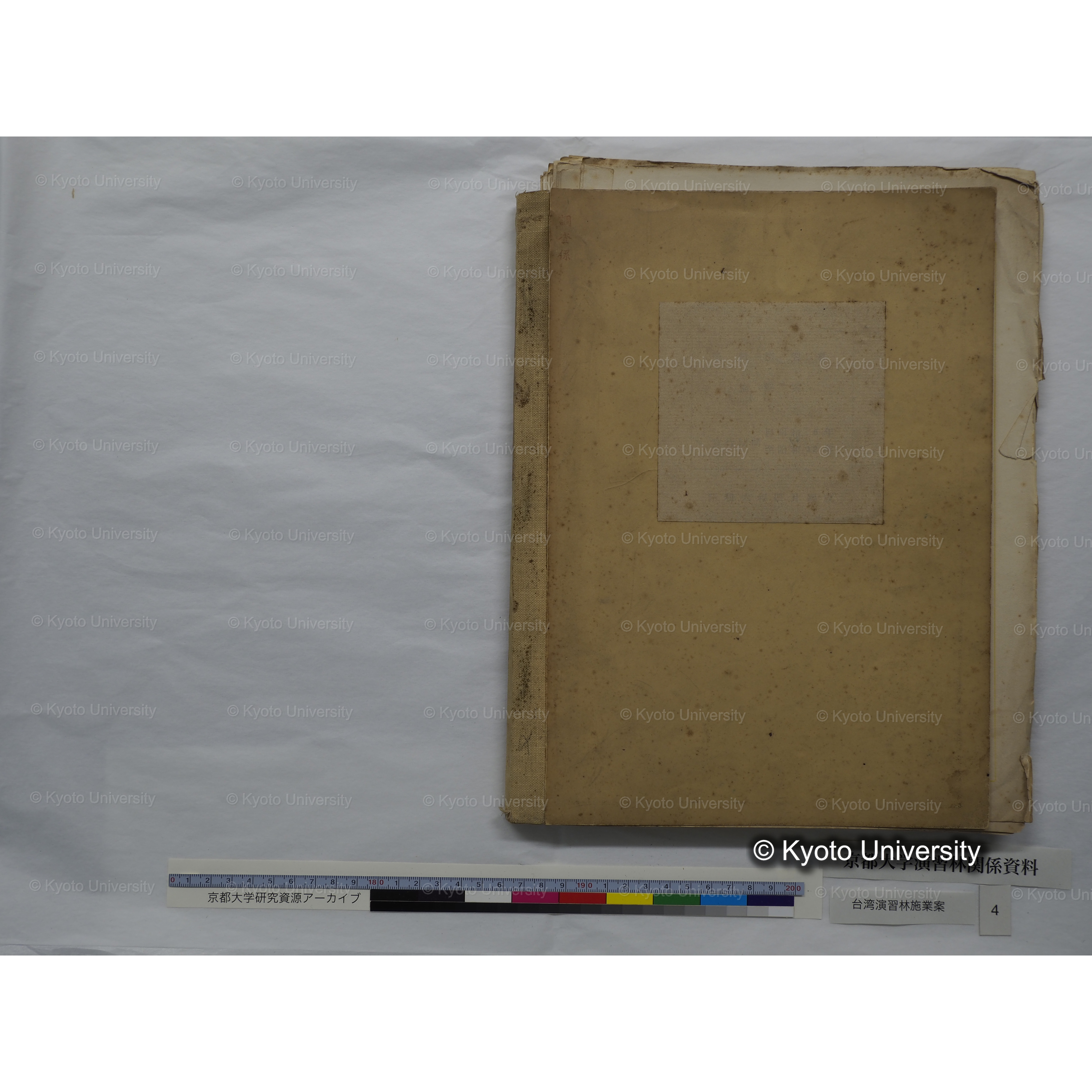 台湾演習林　施業案　実行期間＜自昭和 6年／至昭和12年＞　昭和六年四月編成. (43)