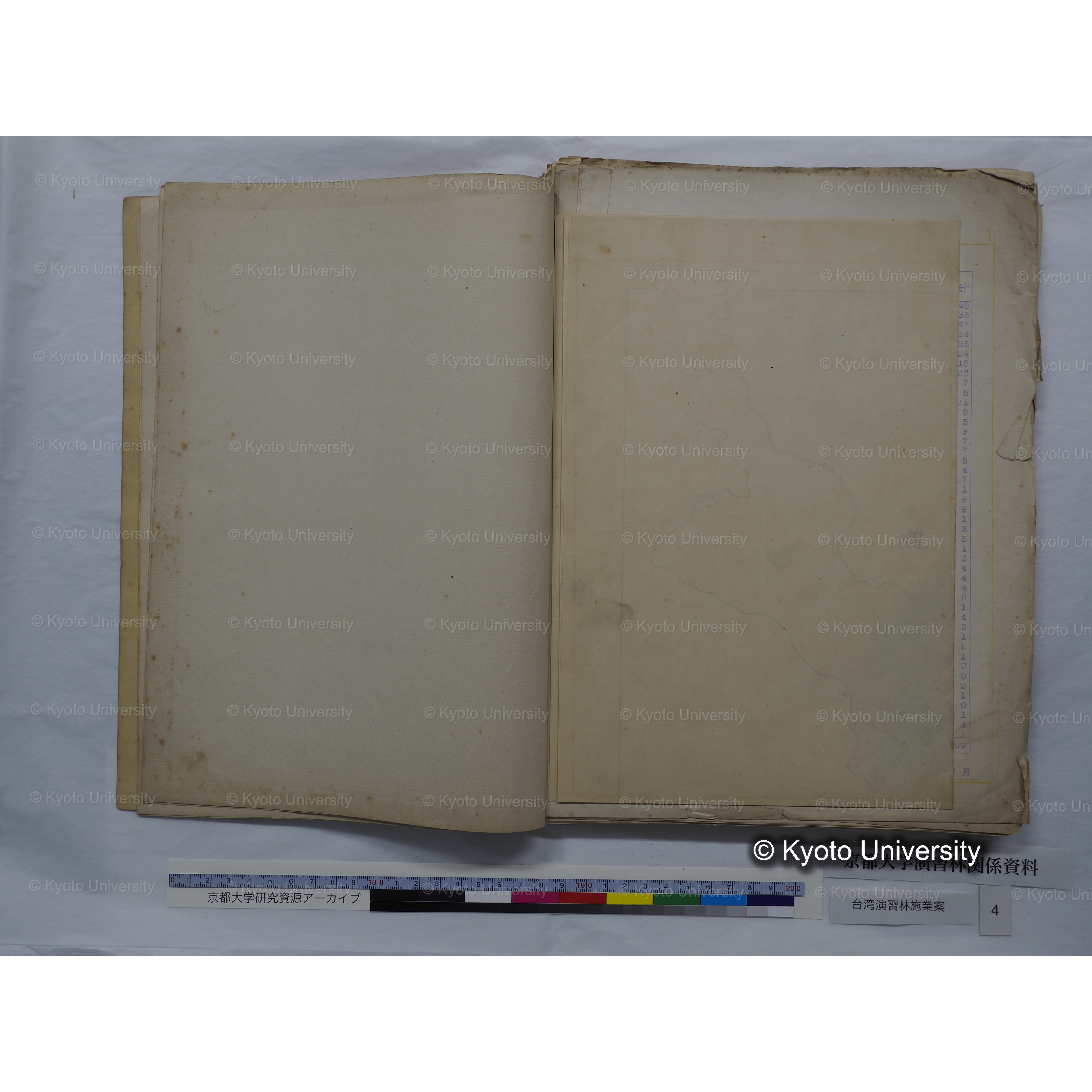 台湾演習林　施業案　実行期間＜自昭和 6年／至昭和12年＞　昭和六年四月編成. (48)