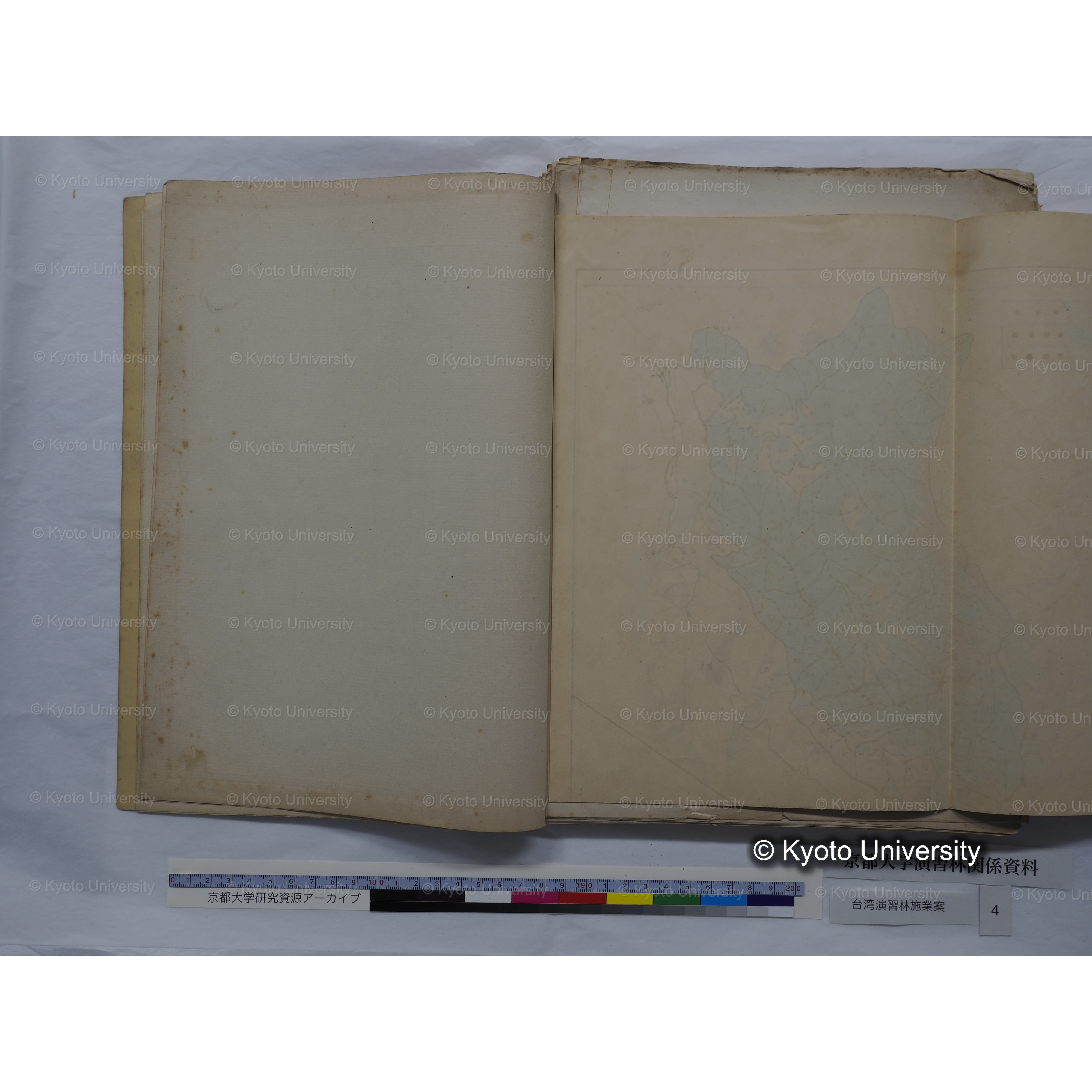 台湾演習林　施業案　実行期間＜自昭和 6年／至昭和12年＞　昭和六年四月編成. (49)