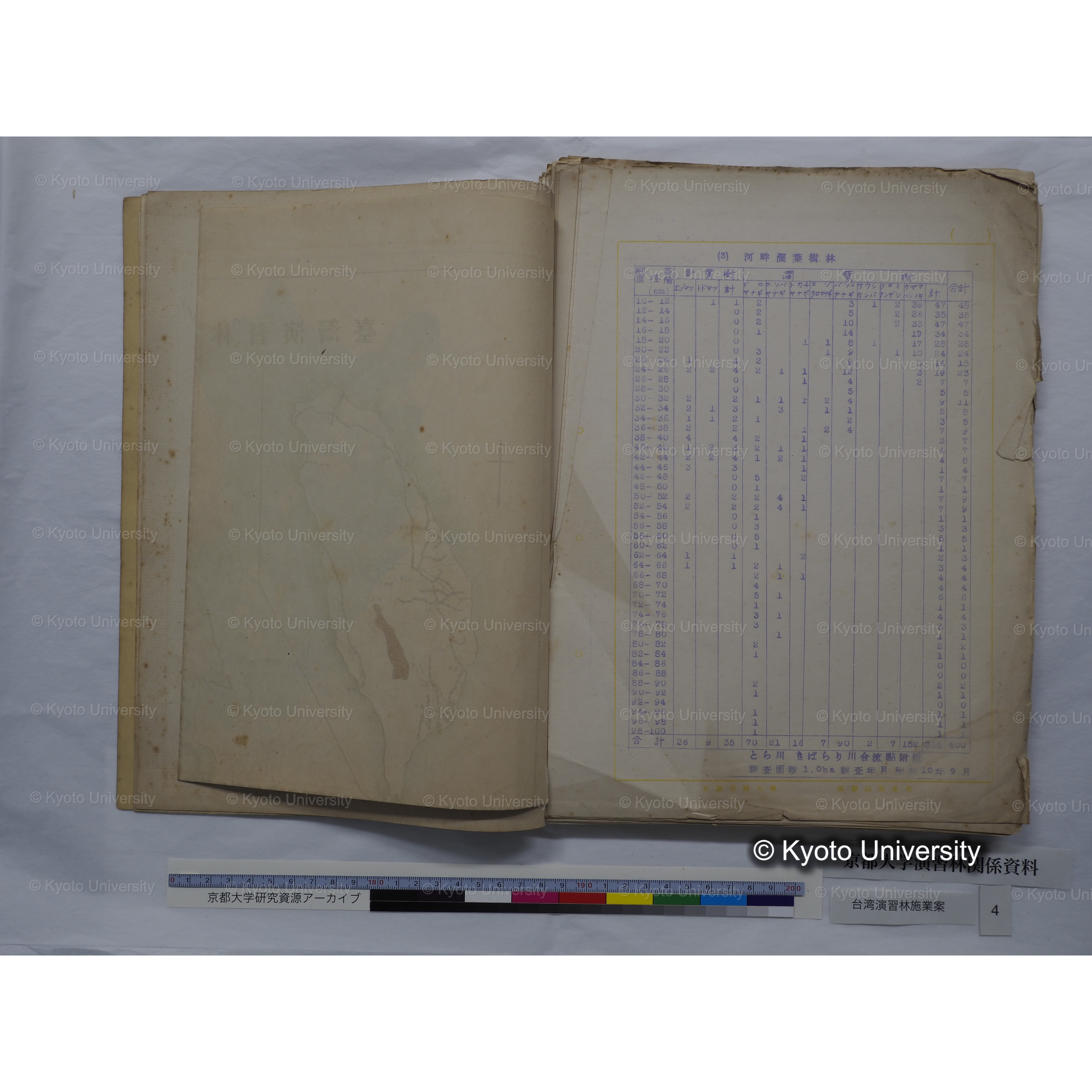 台湾演習林　施業案　実行期間＜自昭和 6年／至昭和12年＞　昭和六年四月編成. (50)