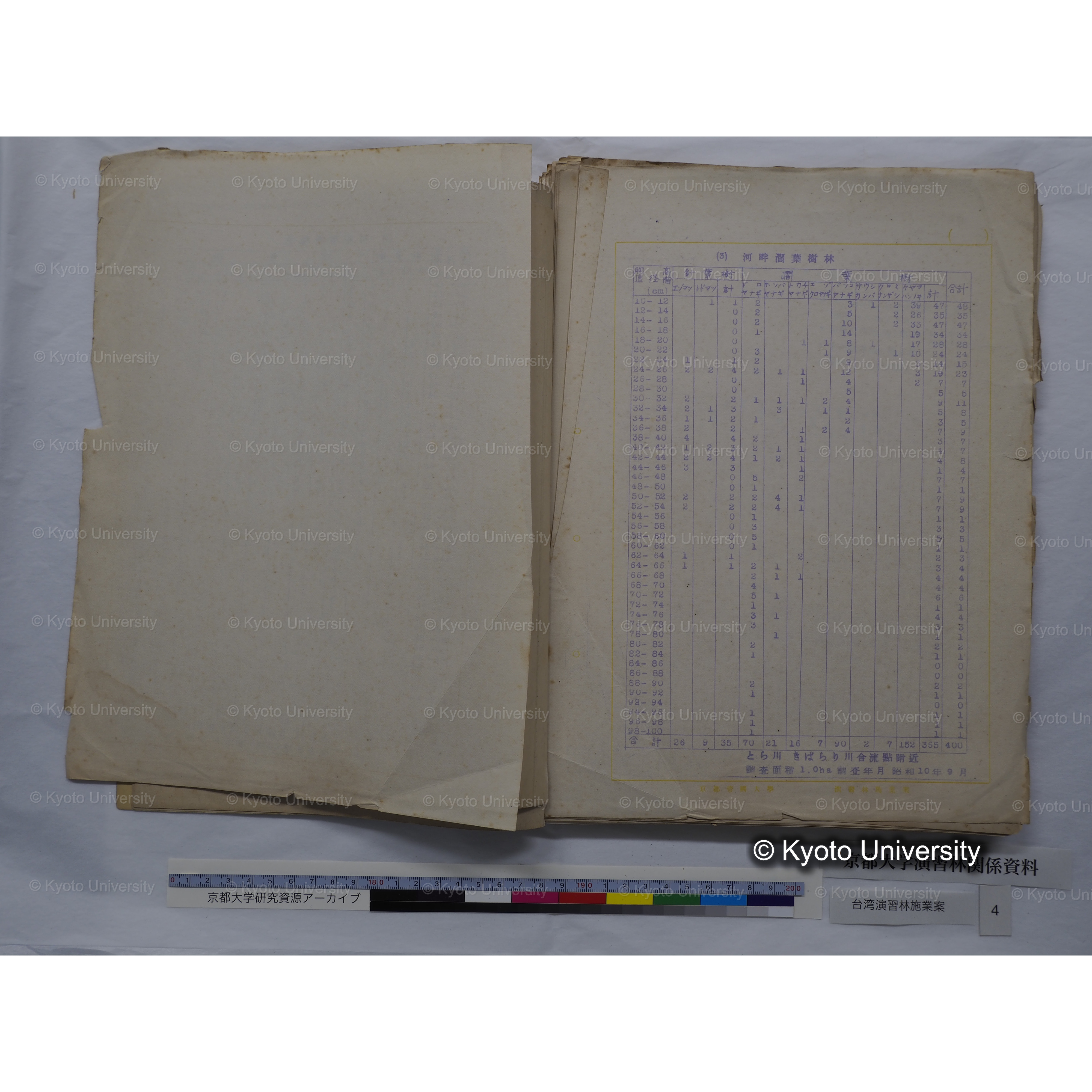 台湾演習林　施業案　実行期間＜自昭和 6年／至昭和12年＞　昭和六年四月編成. (51)