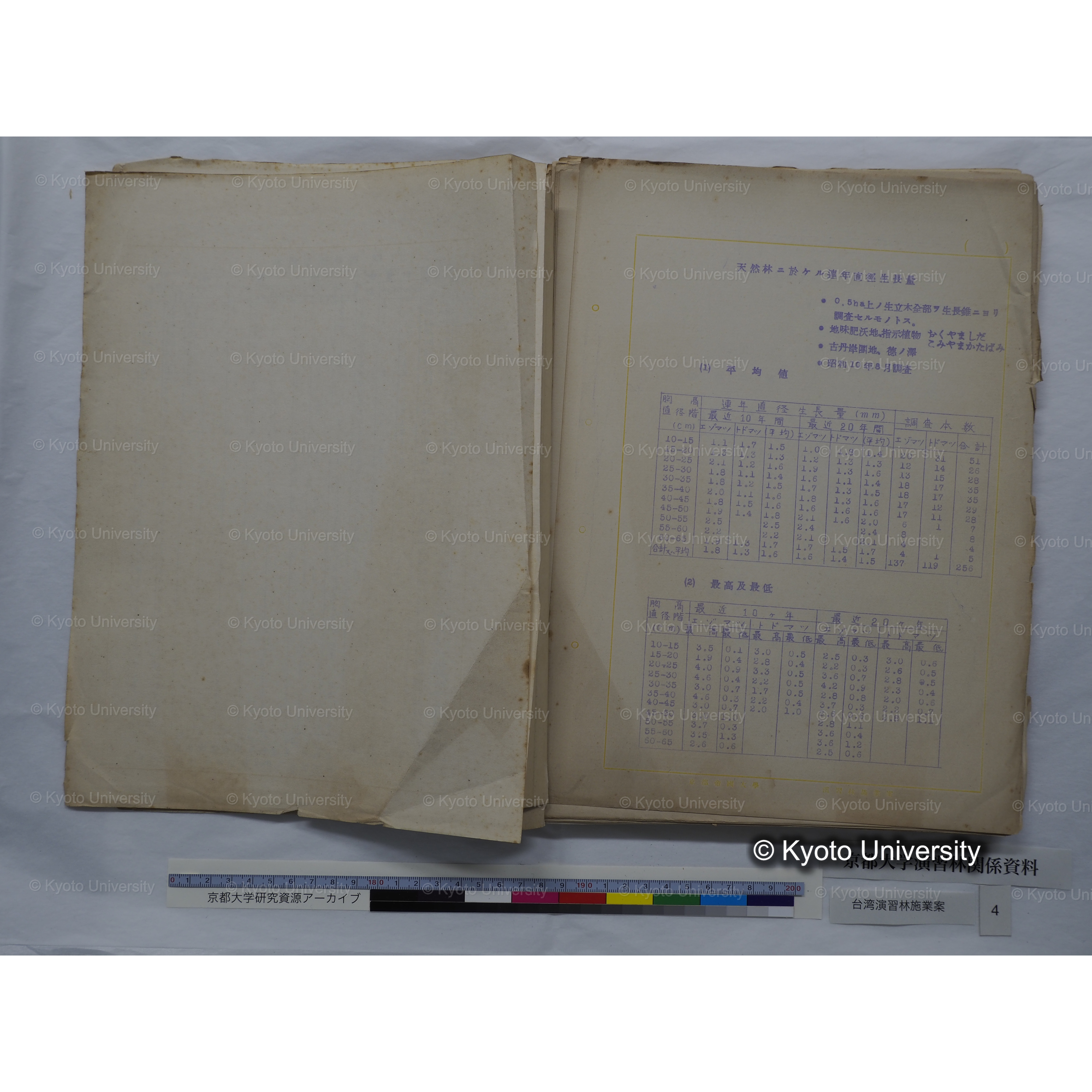 台湾演習林　施業案　実行期間＜自昭和 6年／至昭和12年＞　昭和六年四月編成. (52)