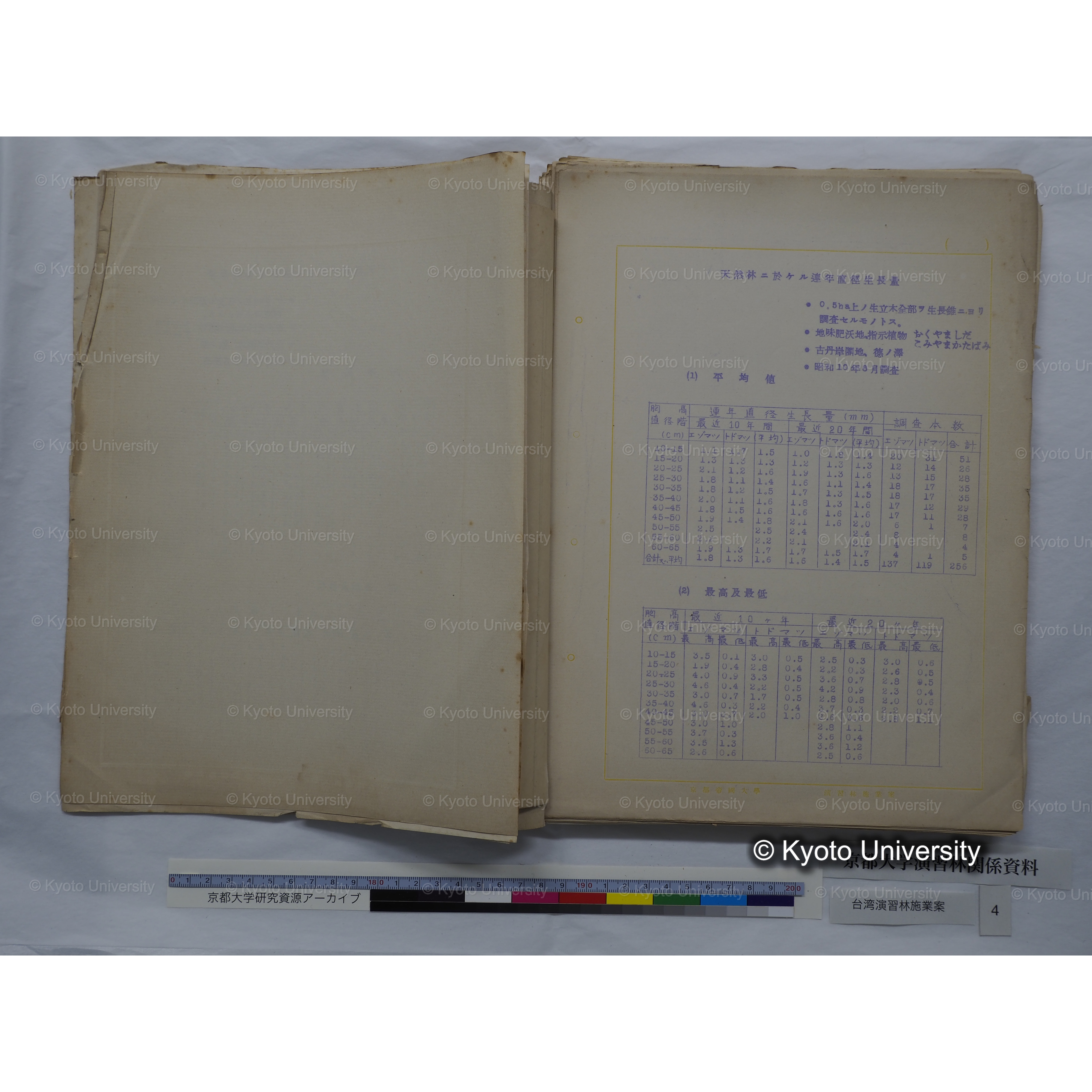 台湾演習林　施業案　実行期間＜自昭和 6年／至昭和12年＞　昭和六年四月編成. (53)