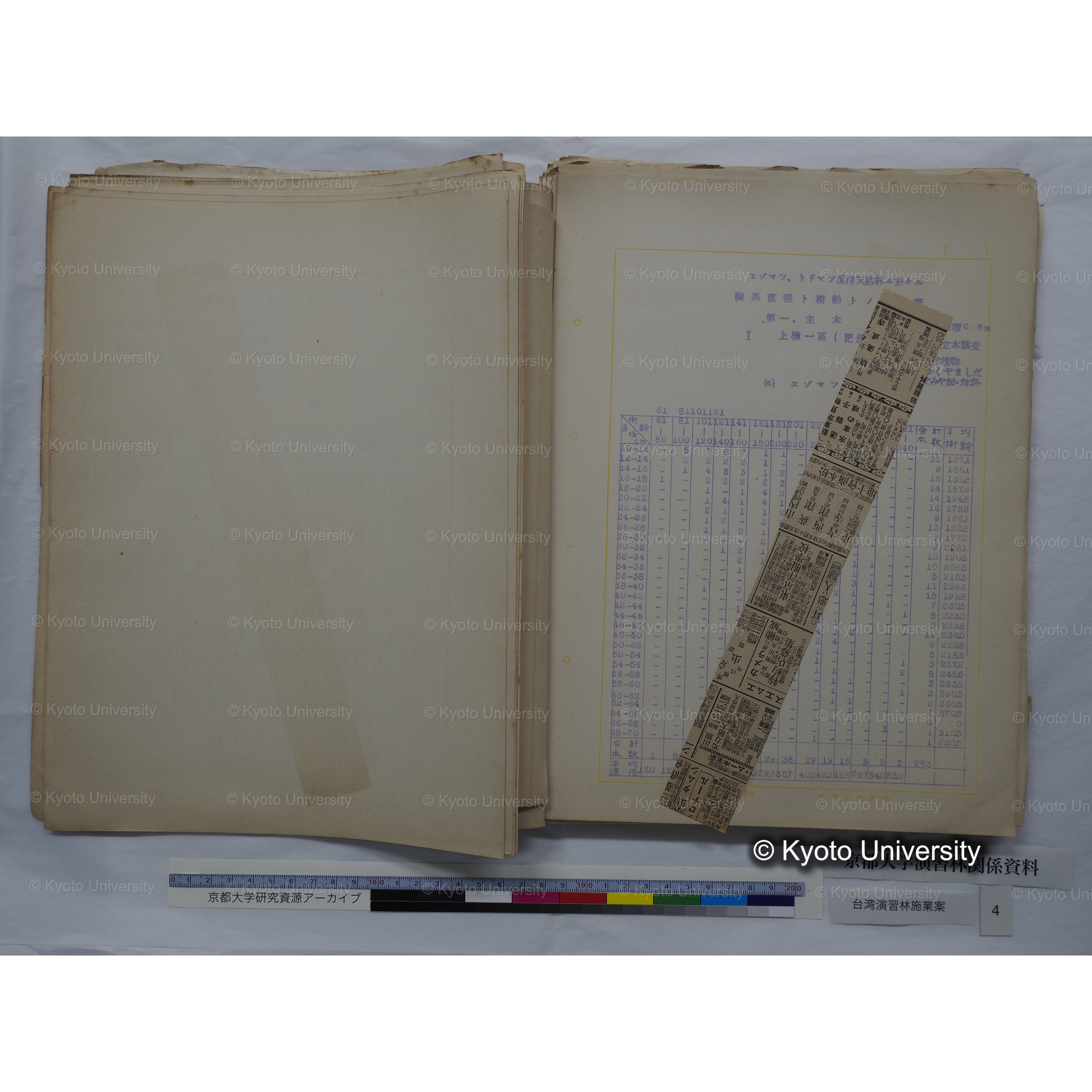 台湾演習林　施業案　実行期間＜自昭和 6年／至昭和12年＞　昭和六年四月編成. (55)