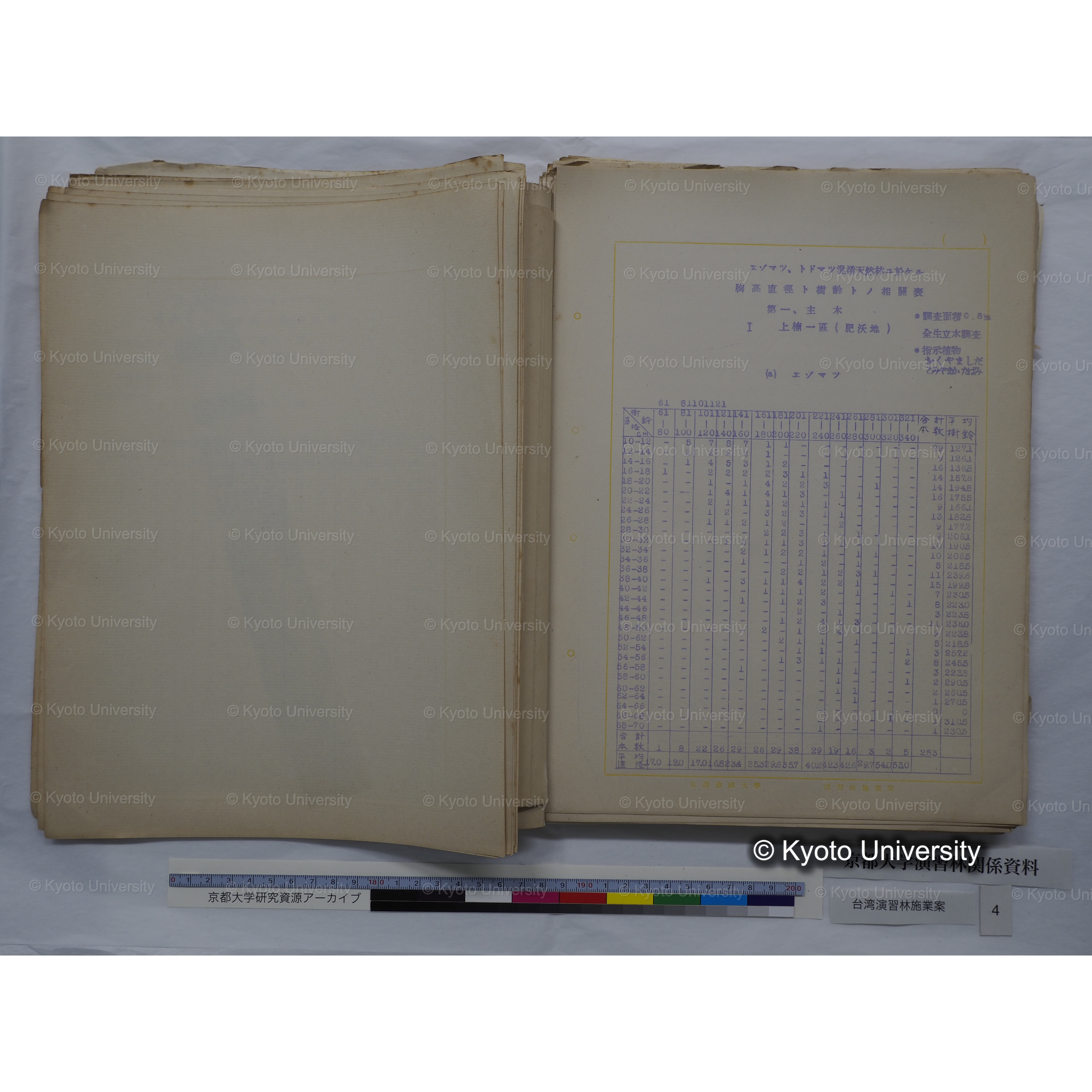 台湾演習林　施業案　実行期間＜自昭和 6年／至昭和12年＞　昭和六年四月編成. (57)