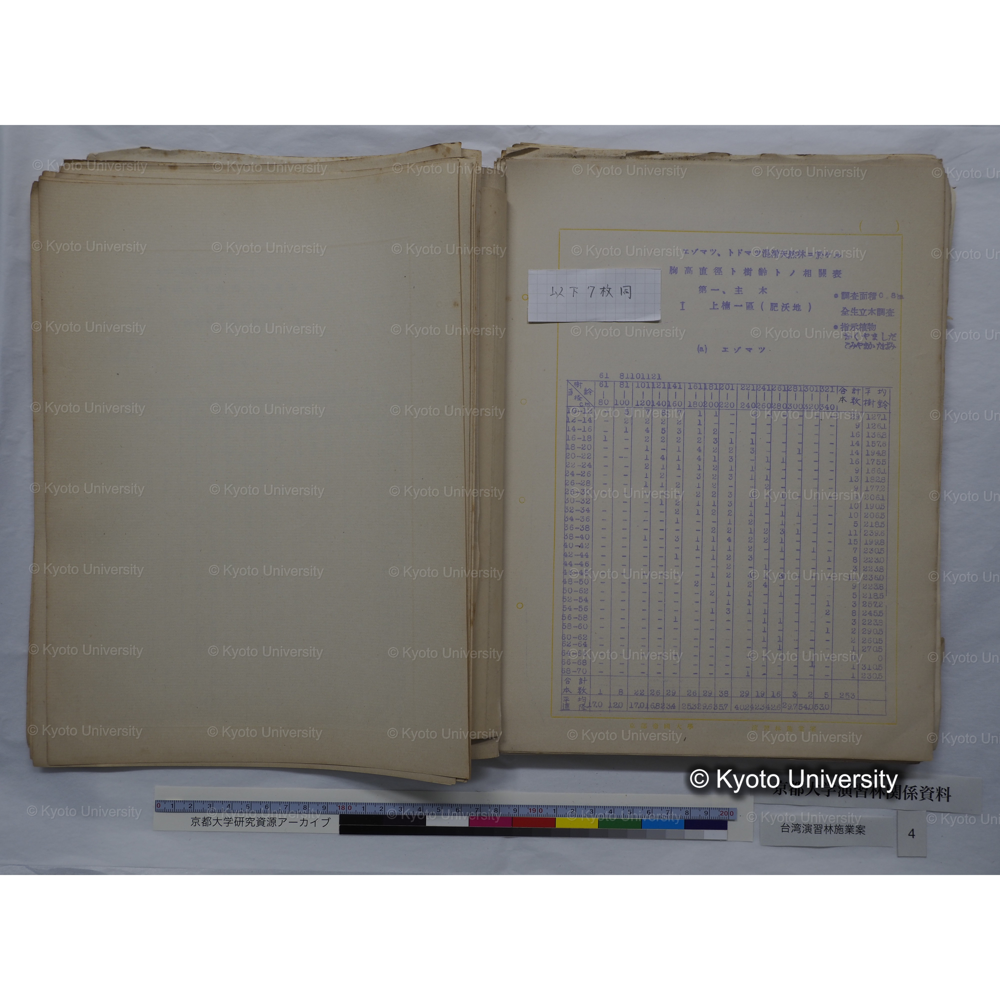 台湾演習林　施業案　実行期間＜自昭和 6年／至昭和12年＞　昭和六年四月編成. (58)