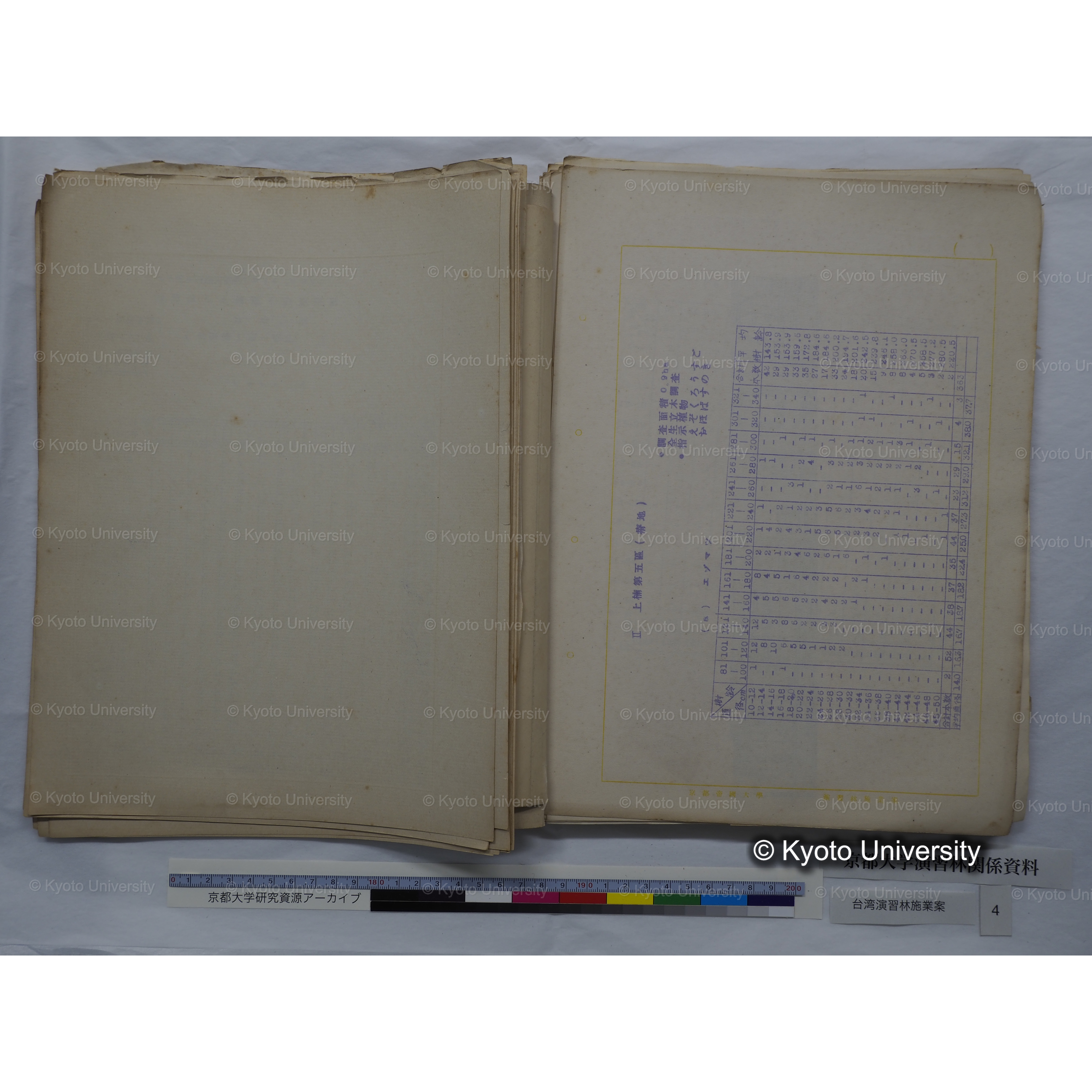 台湾演習林　施業案　実行期間＜自昭和 6年／至昭和12年＞　昭和六年四月編成. (59)