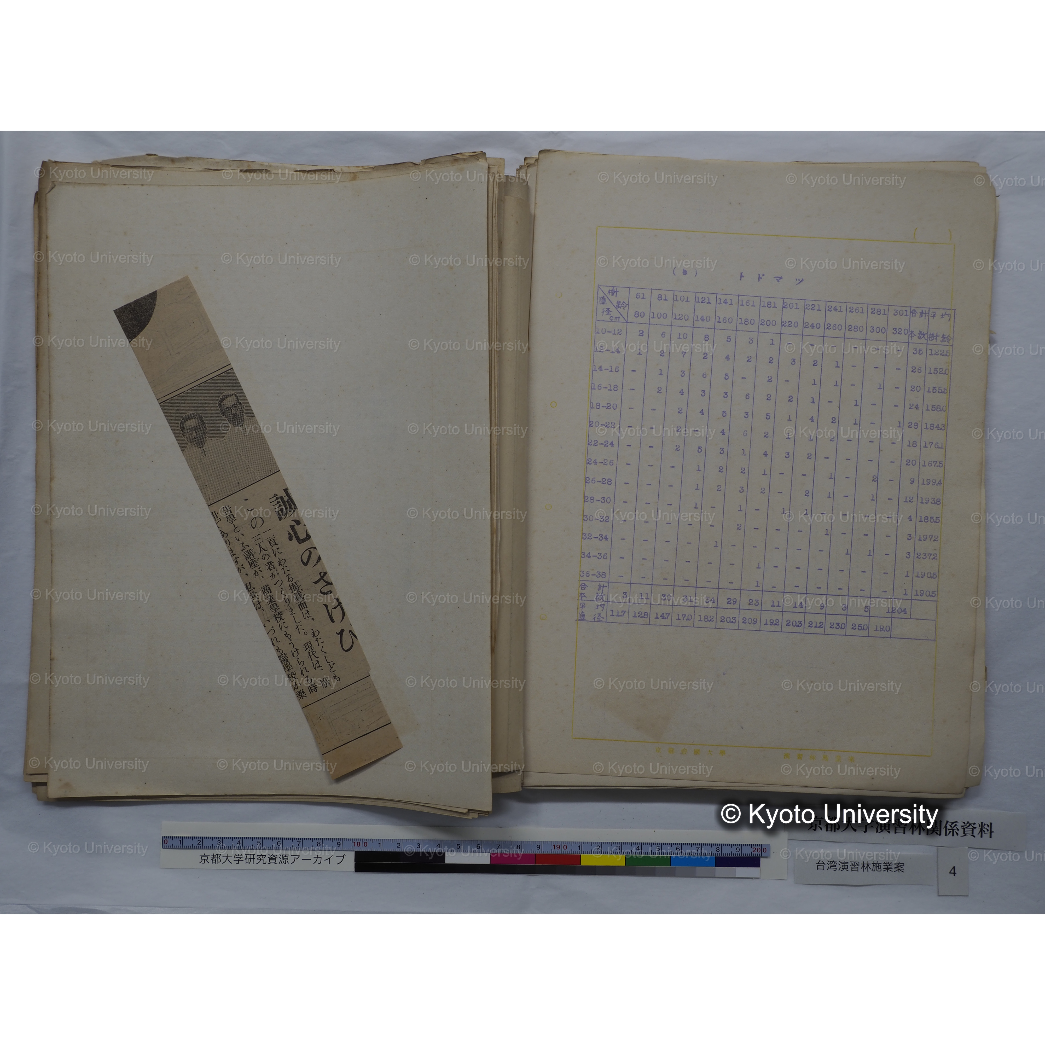 台湾演習林　施業案　実行期間＜自昭和 6年／至昭和12年＞　昭和六年四月編成. (61)