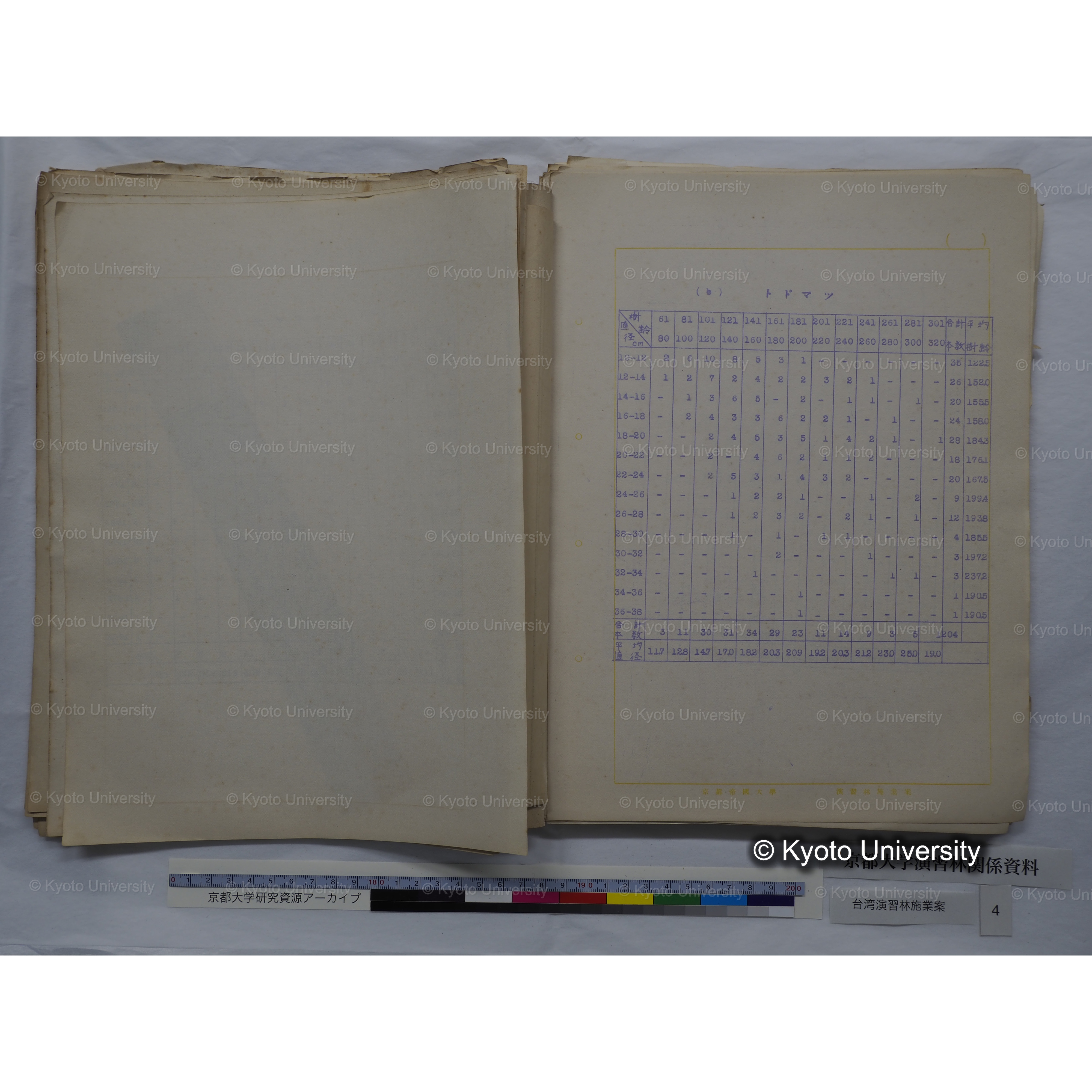 台湾演習林　施業案　実行期間＜自昭和 6年／至昭和12年＞　昭和六年四月編成. (62)