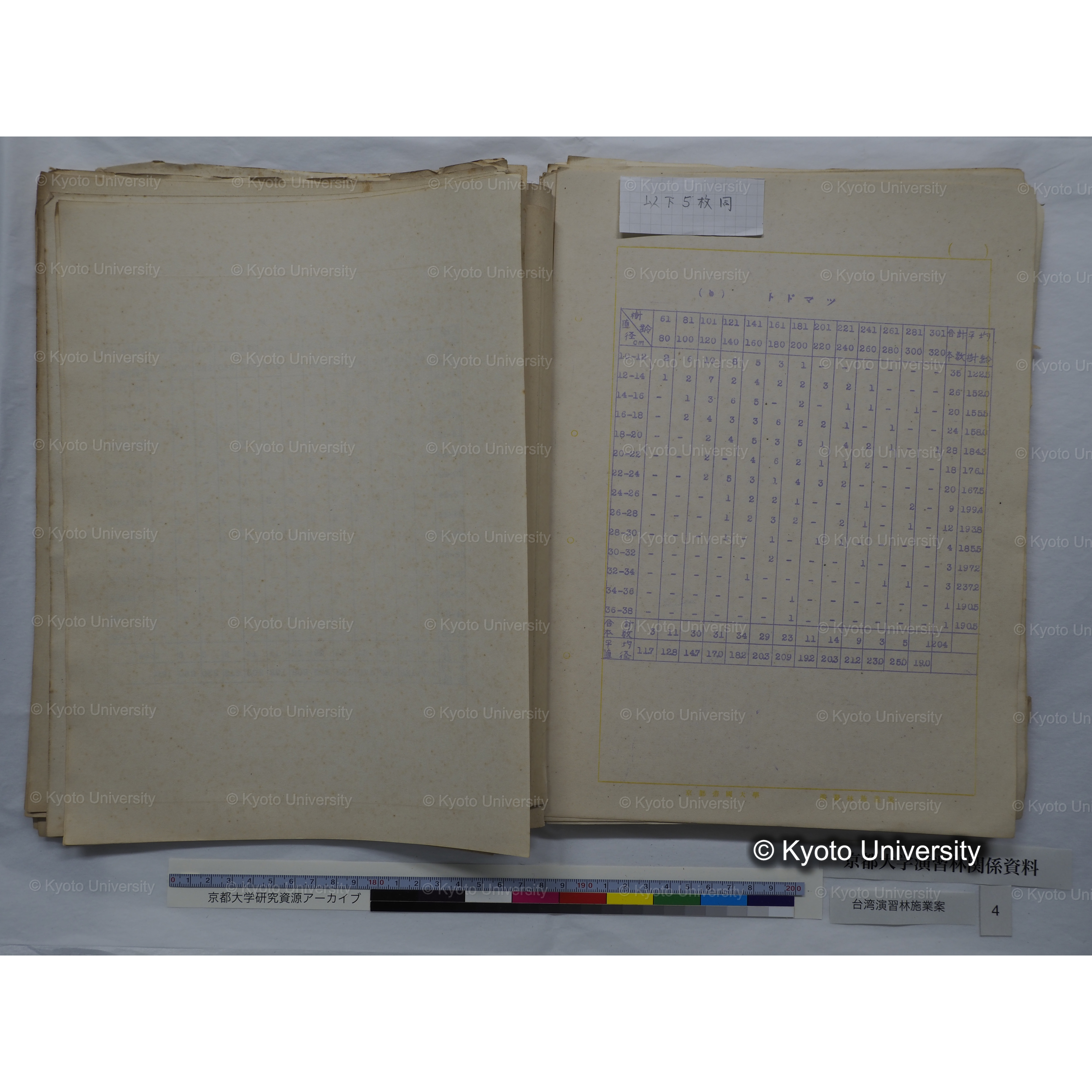 台湾演習林　施業案　実行期間＜自昭和 6年／至昭和12年＞　昭和六年四月編成. (63)