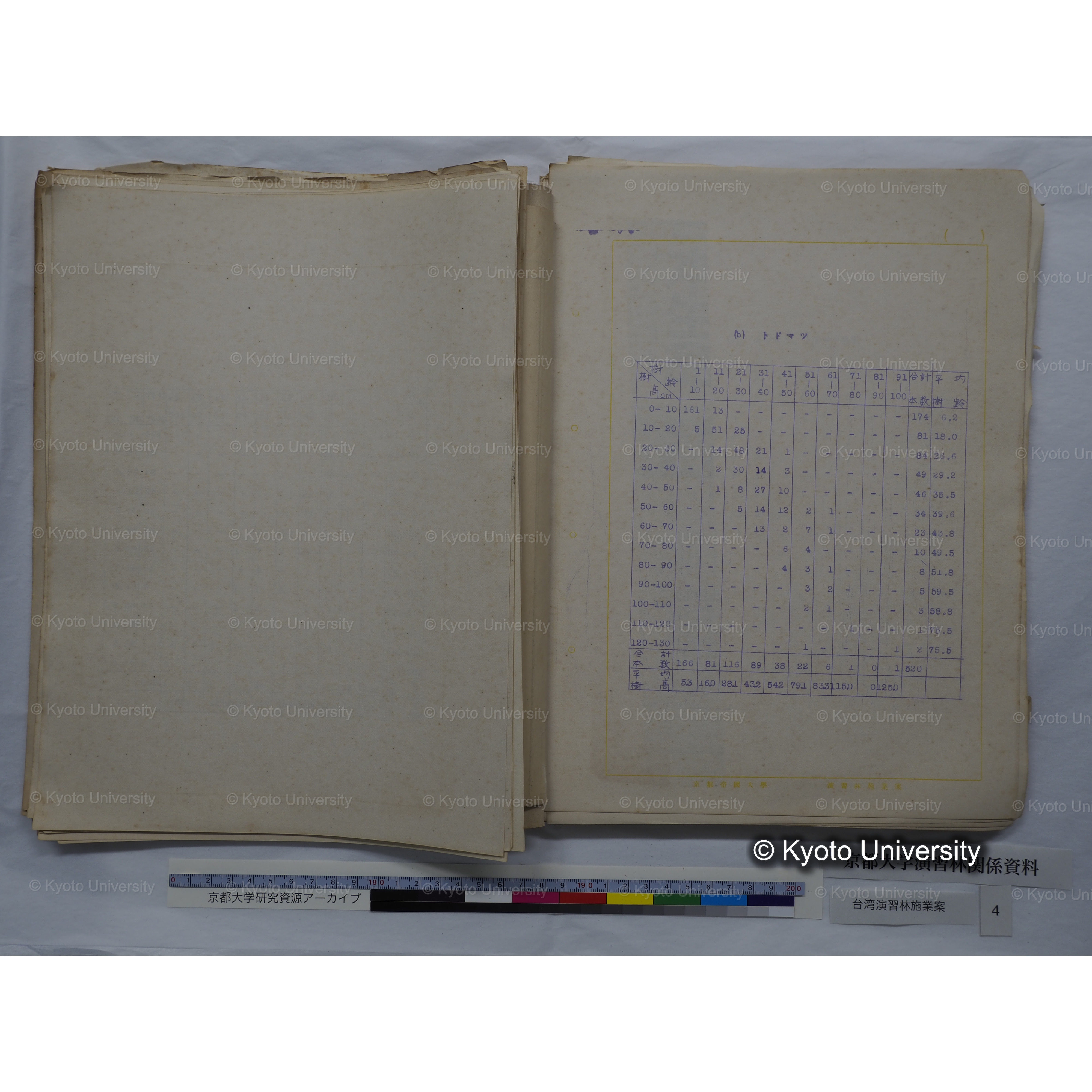 台湾演習林　施業案　実行期間＜自昭和 6年／至昭和12年＞　昭和六年四月編成. (65)