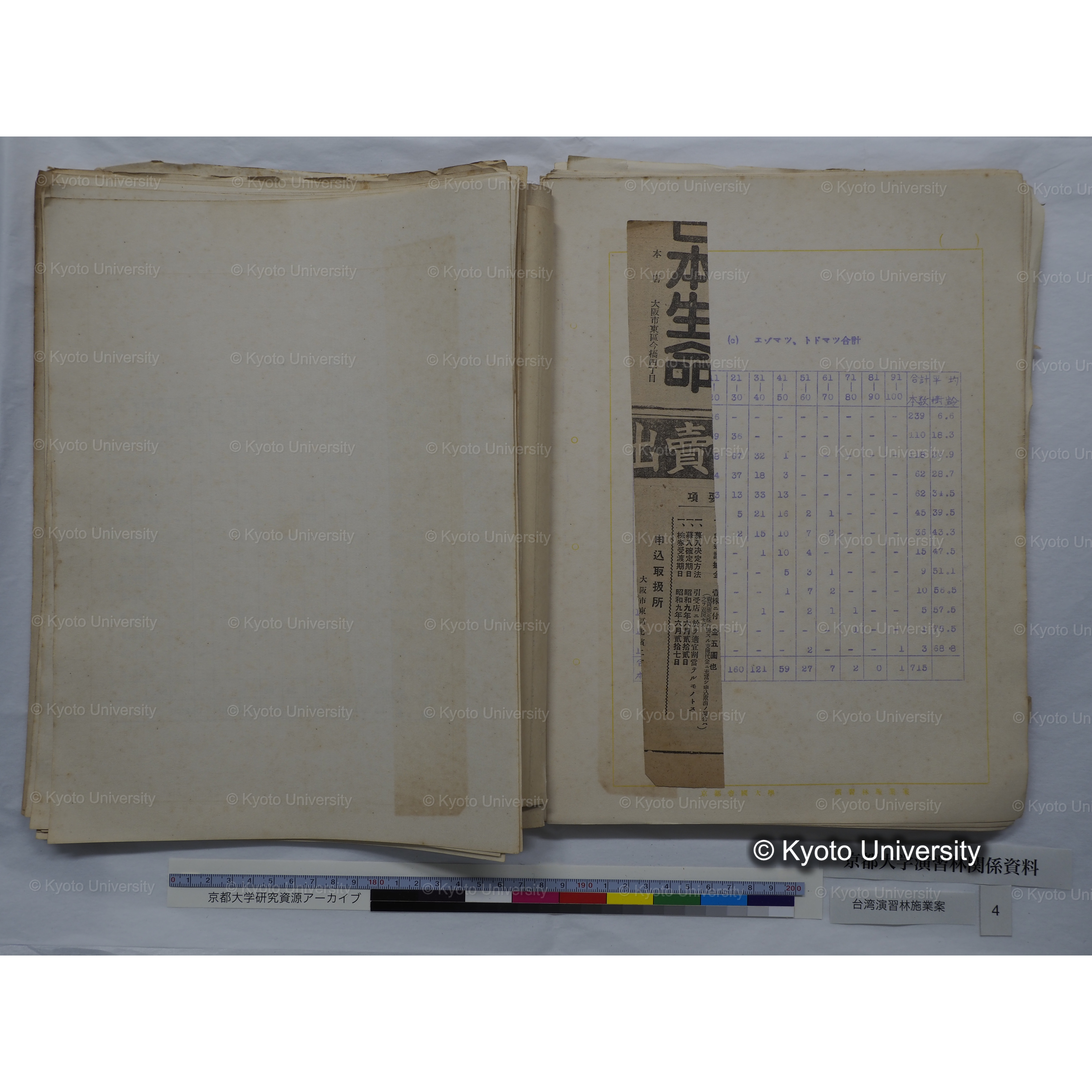 台湾演習林　施業案　実行期間＜自昭和 6年／至昭和12年＞　昭和六年四月編成. (66)