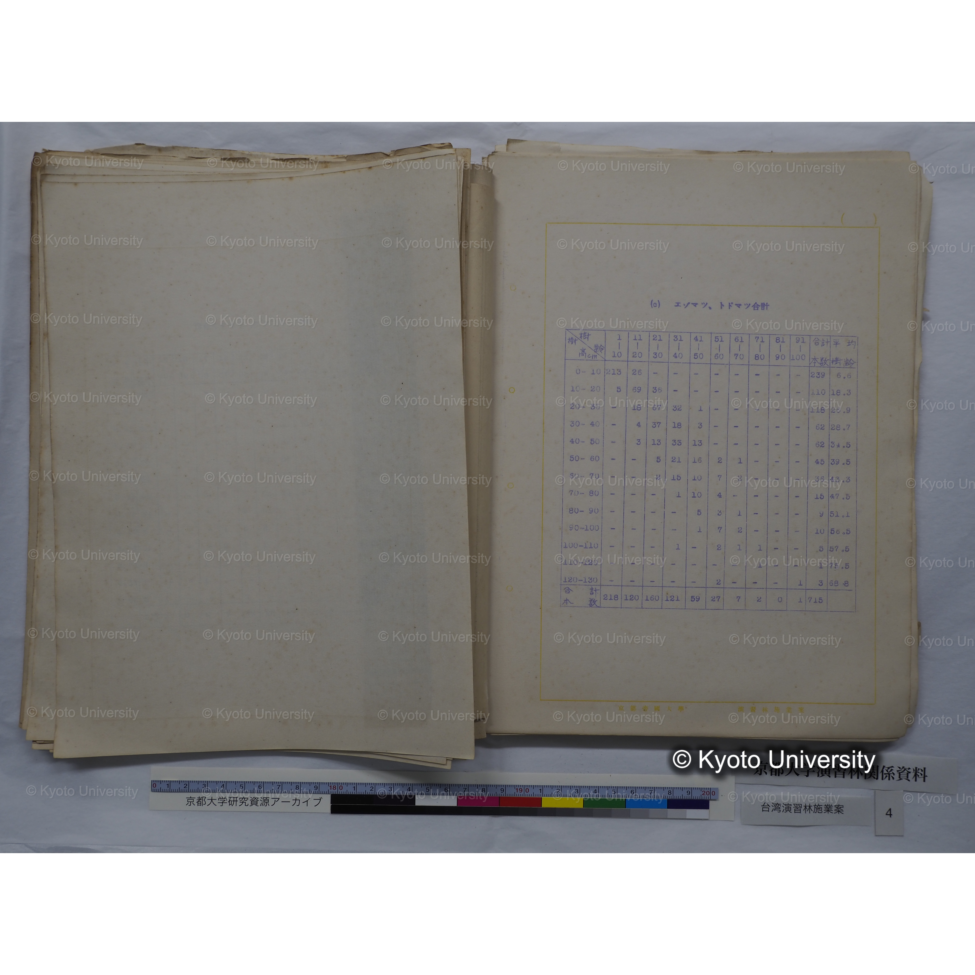 台湾演習林　施業案　実行期間＜自昭和 6年／至昭和12年＞　昭和六年四月編成. (68)