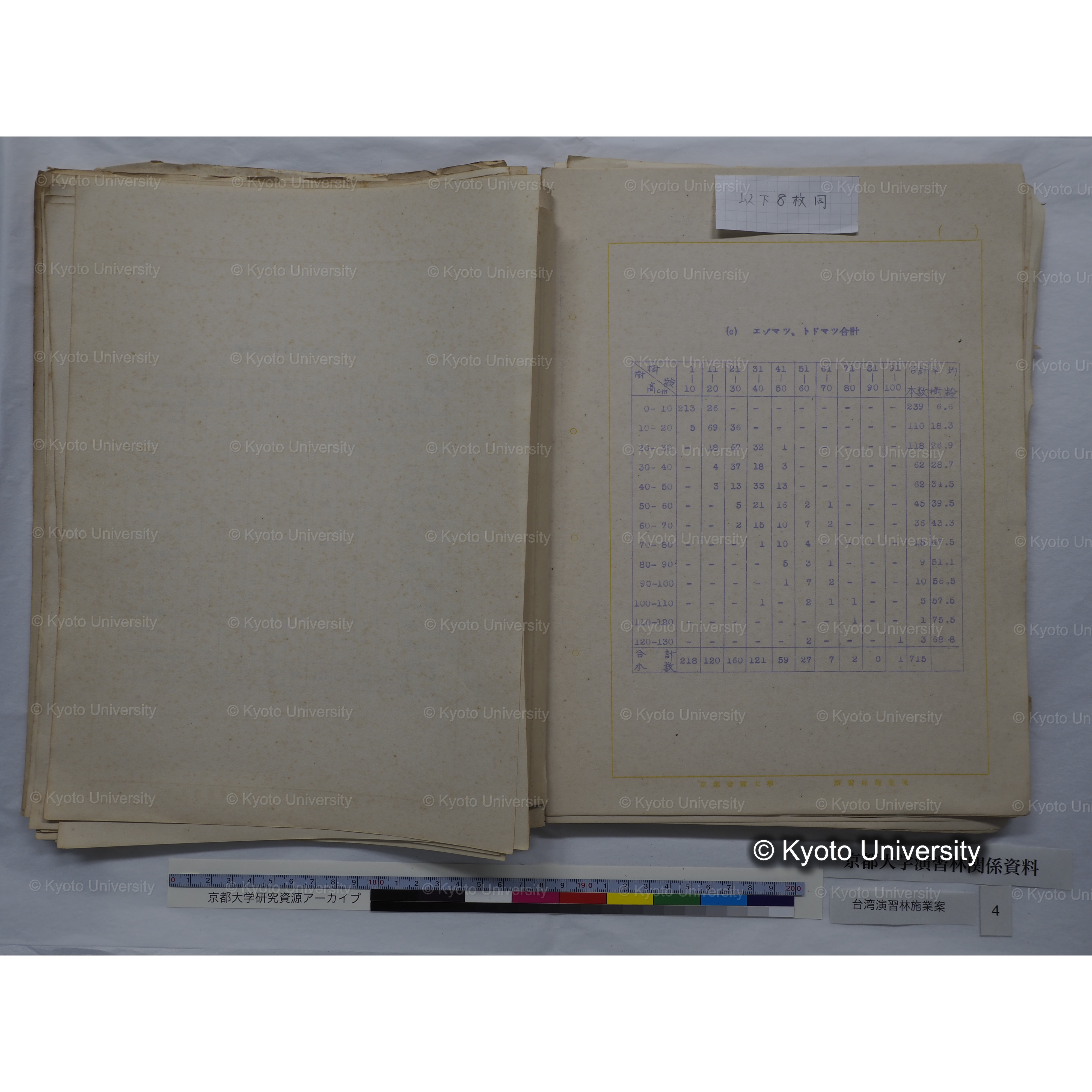 台湾演習林　施業案　実行期間＜自昭和 6年／至昭和12年＞　昭和六年四月編成. (69)