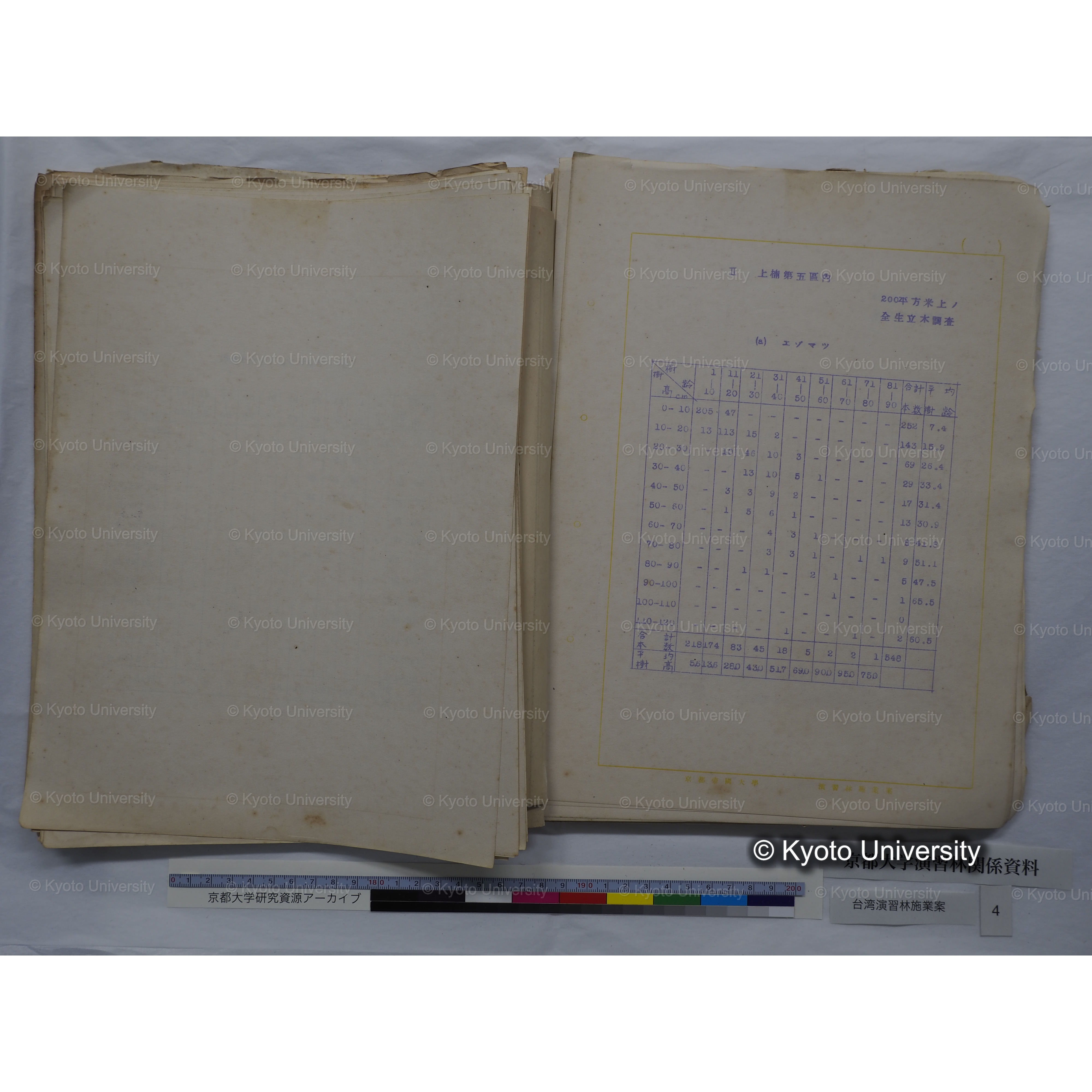 台湾演習林　施業案　実行期間＜自昭和 6年／至昭和12年＞　昭和六年四月編成. (70)