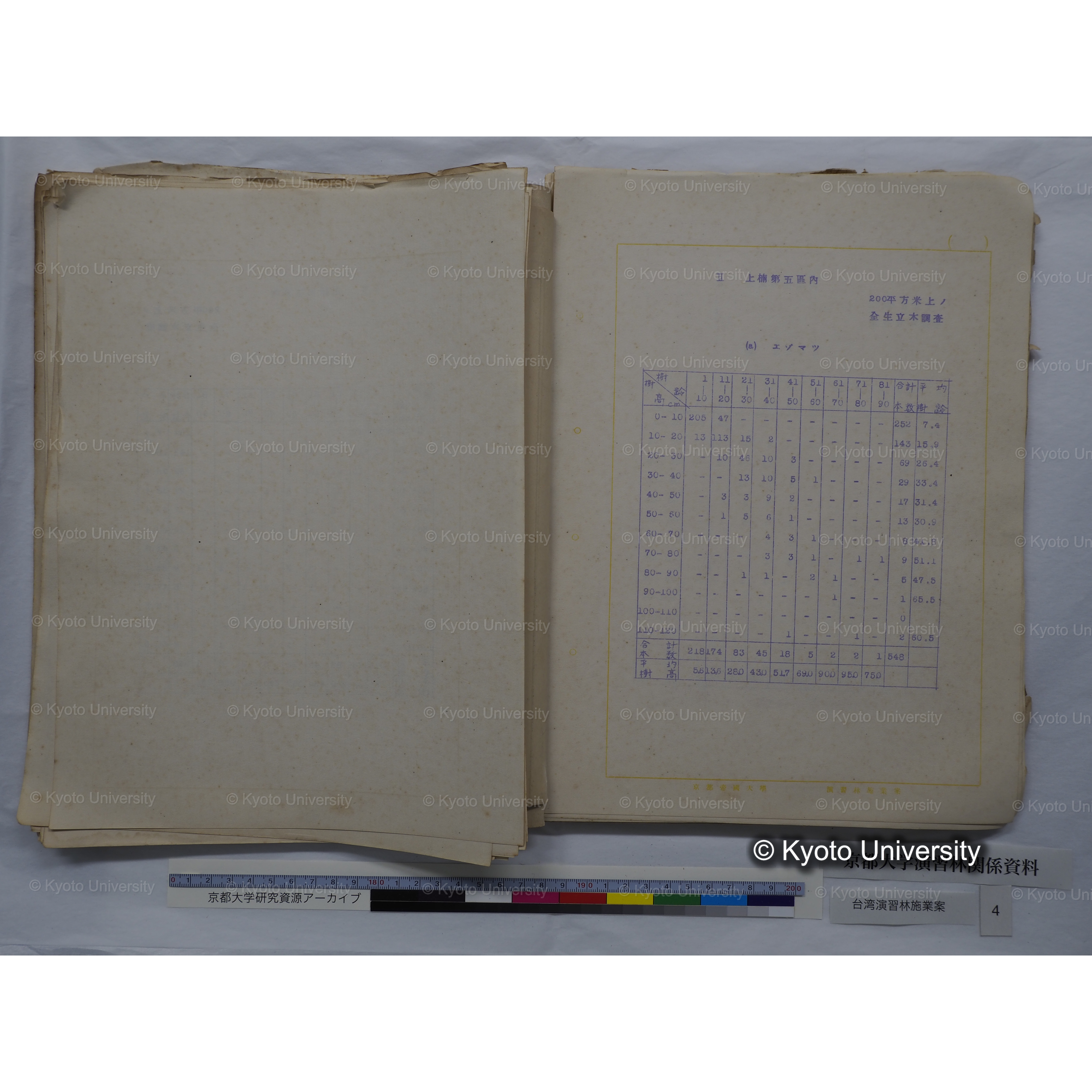 台湾演習林　施業案　実行期間＜自昭和 6年／至昭和12年＞　昭和六年四月編成. (71)