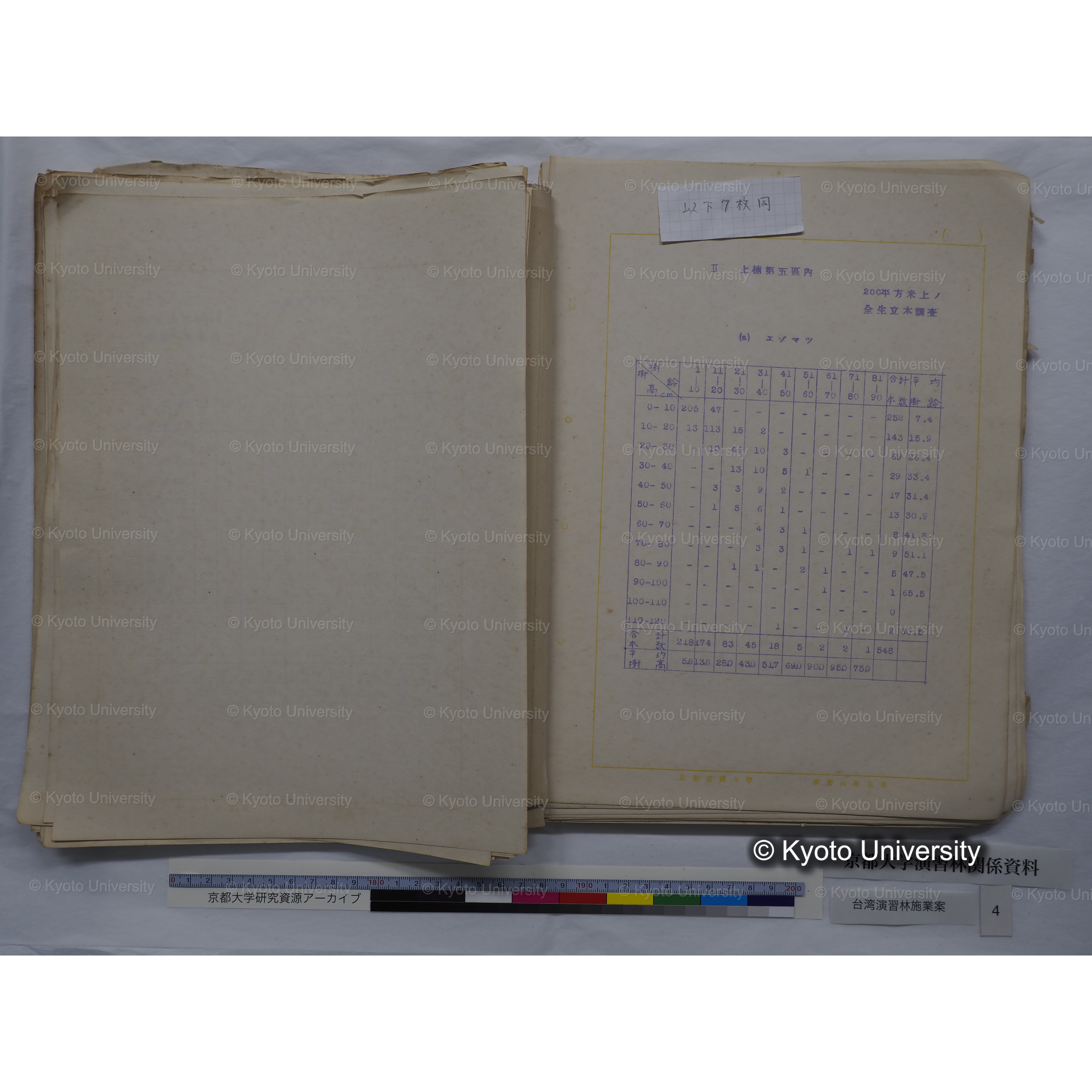 台湾演習林　施業案　実行期間＜自昭和 6年／至昭和12年＞　昭和六年四月編成. (72)