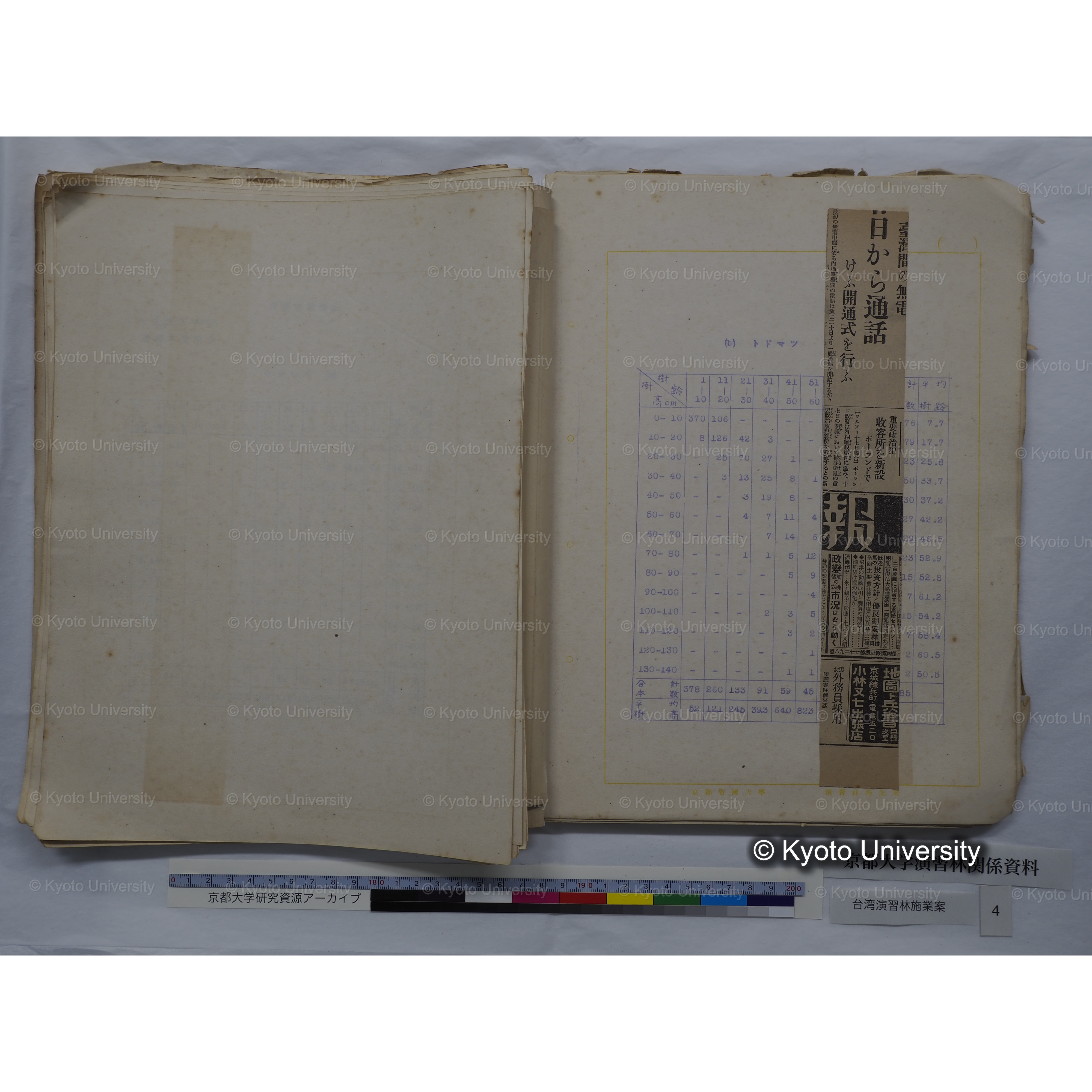 台湾演習林　施業案　実行期間＜自昭和 6年／至昭和12年＞　昭和六年四月編成. (73)