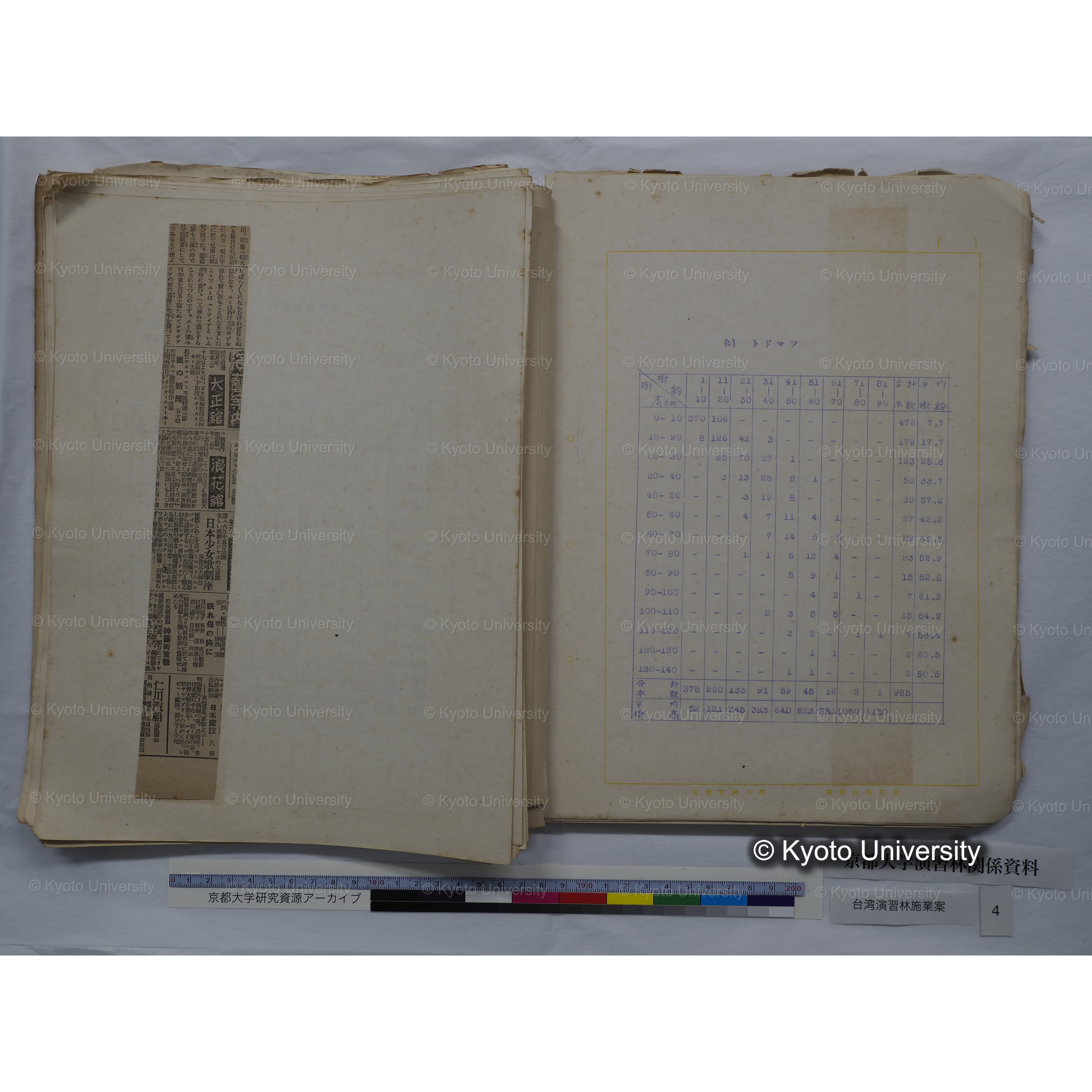 台湾演習林　施業案　実行期間＜自昭和 6年／至昭和12年＞　昭和六年四月編成. (74)