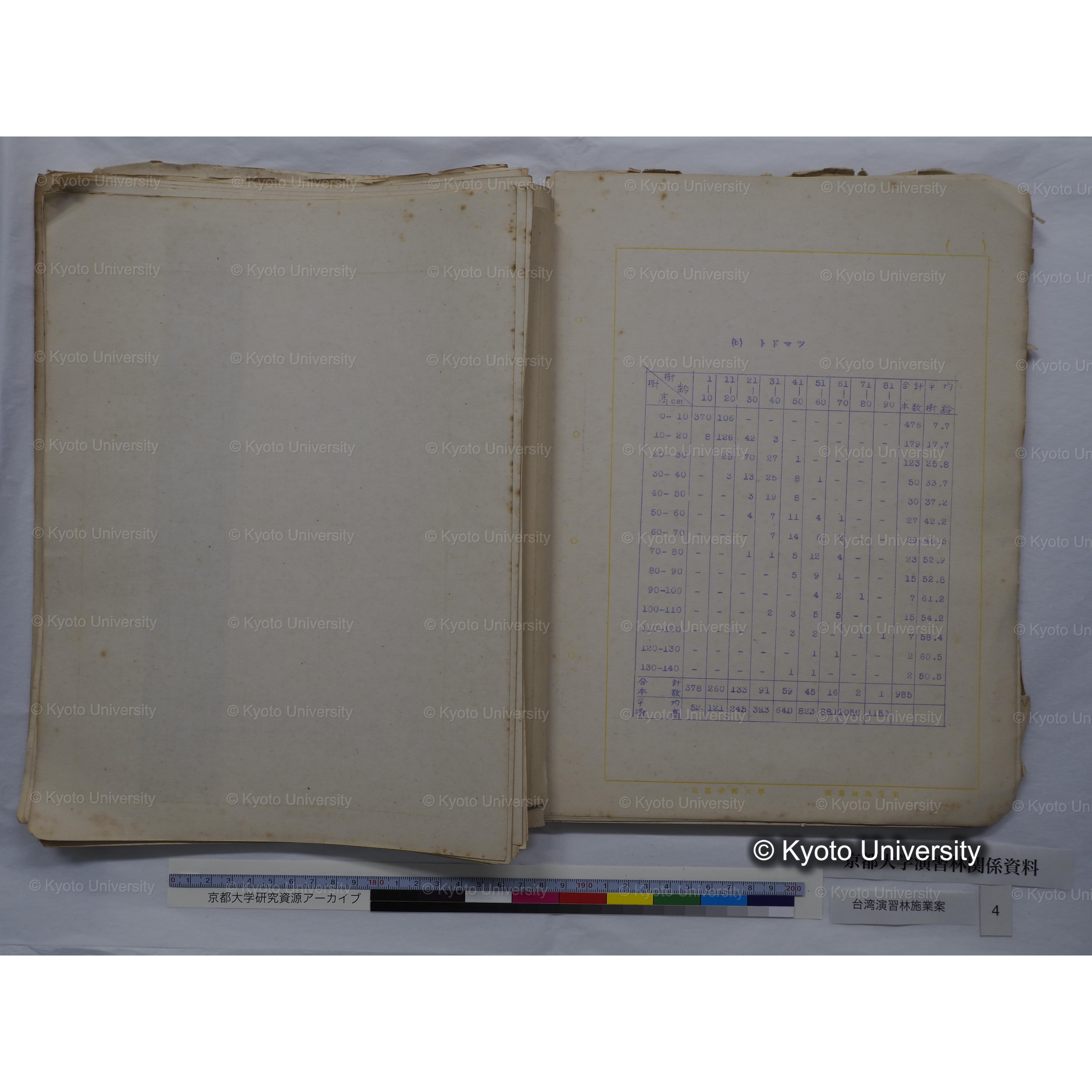 台湾演習林　施業案　実行期間＜自昭和 6年／至昭和12年＞　昭和六年四月編成. (75)