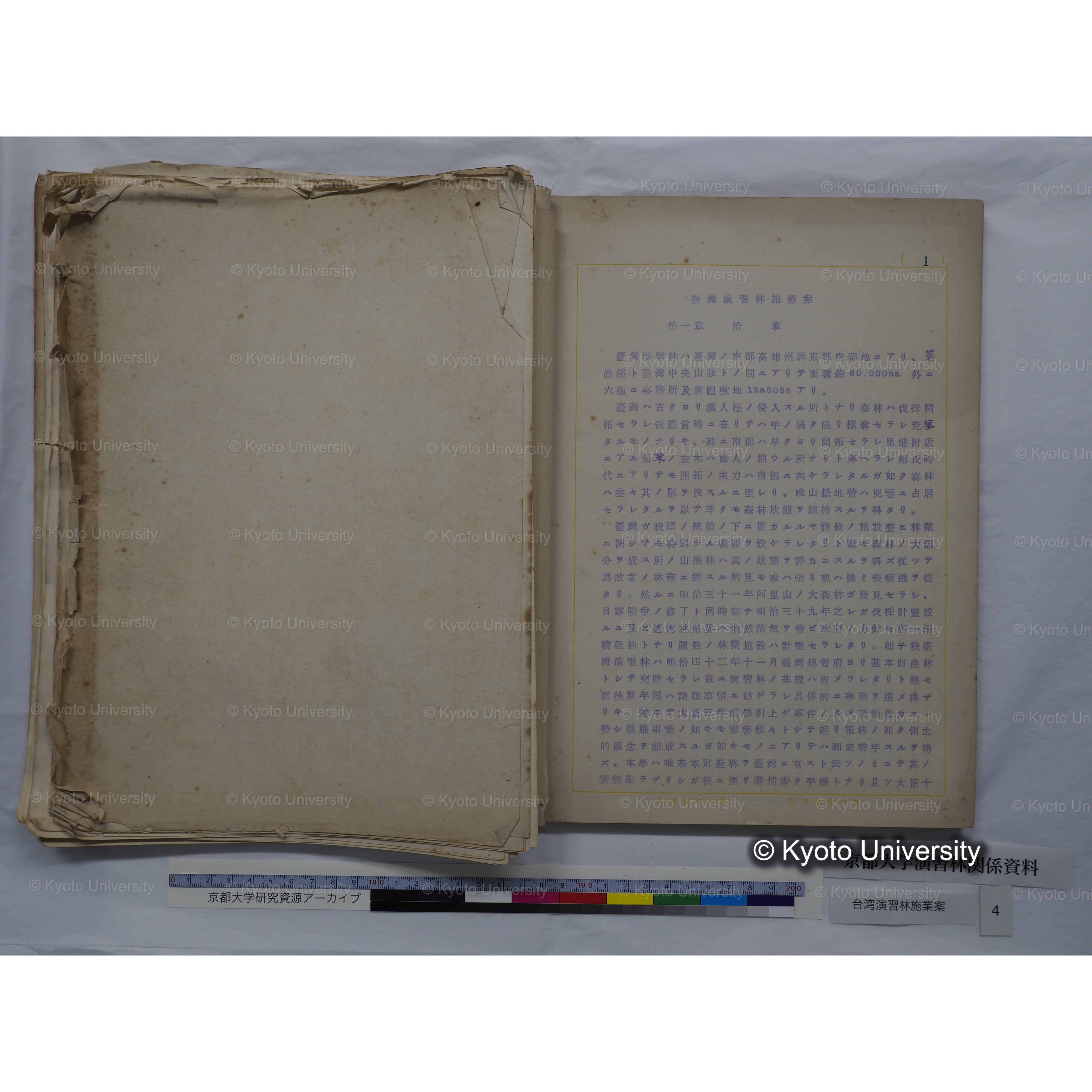 台湾演習林　施業案　実行期間＜自昭和 6年／至昭和12年＞　昭和六年四月編成. (77)