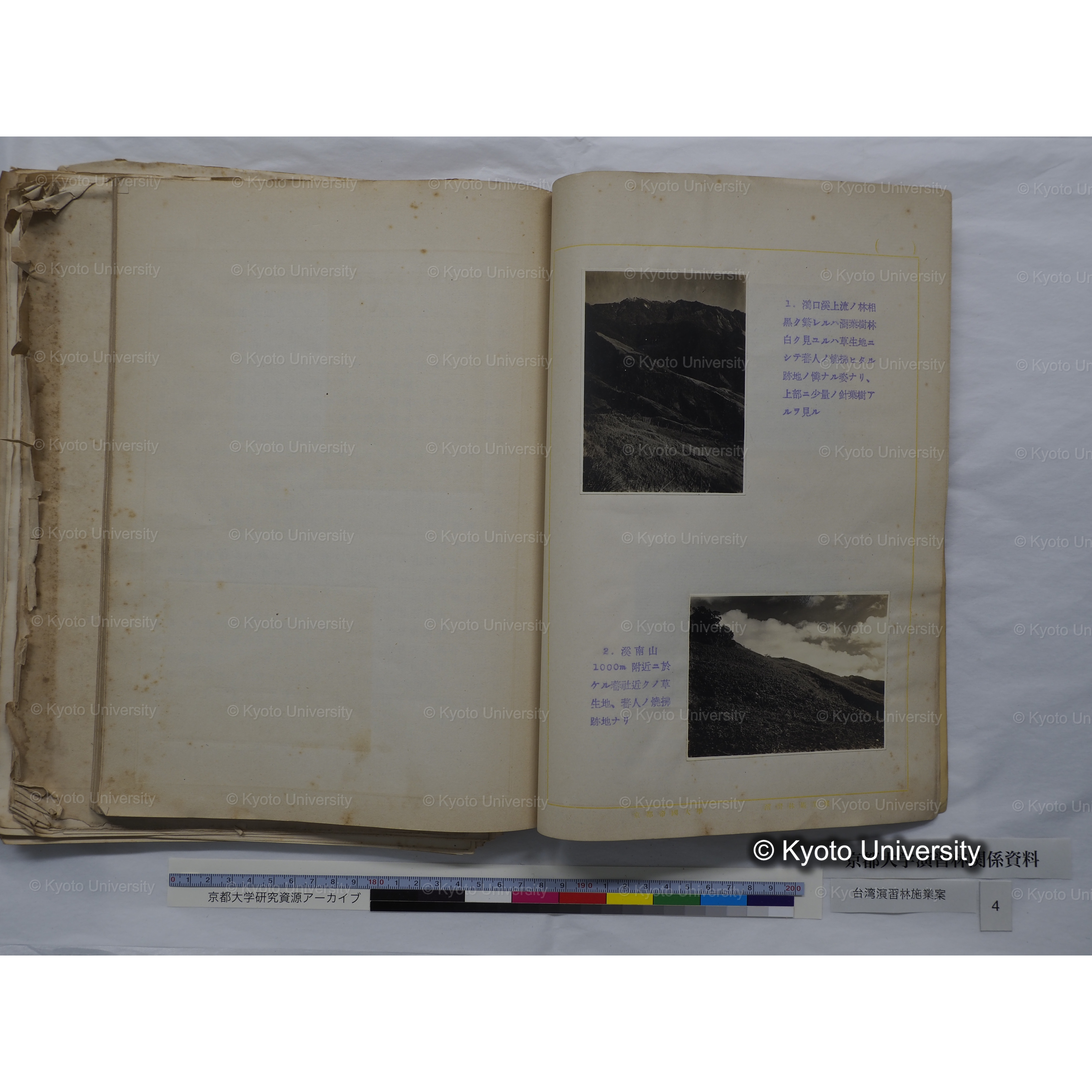 台湾演習林　施業案　実行期間＜自昭和 6年／至昭和12年＞　昭和六年四月編成. (79)