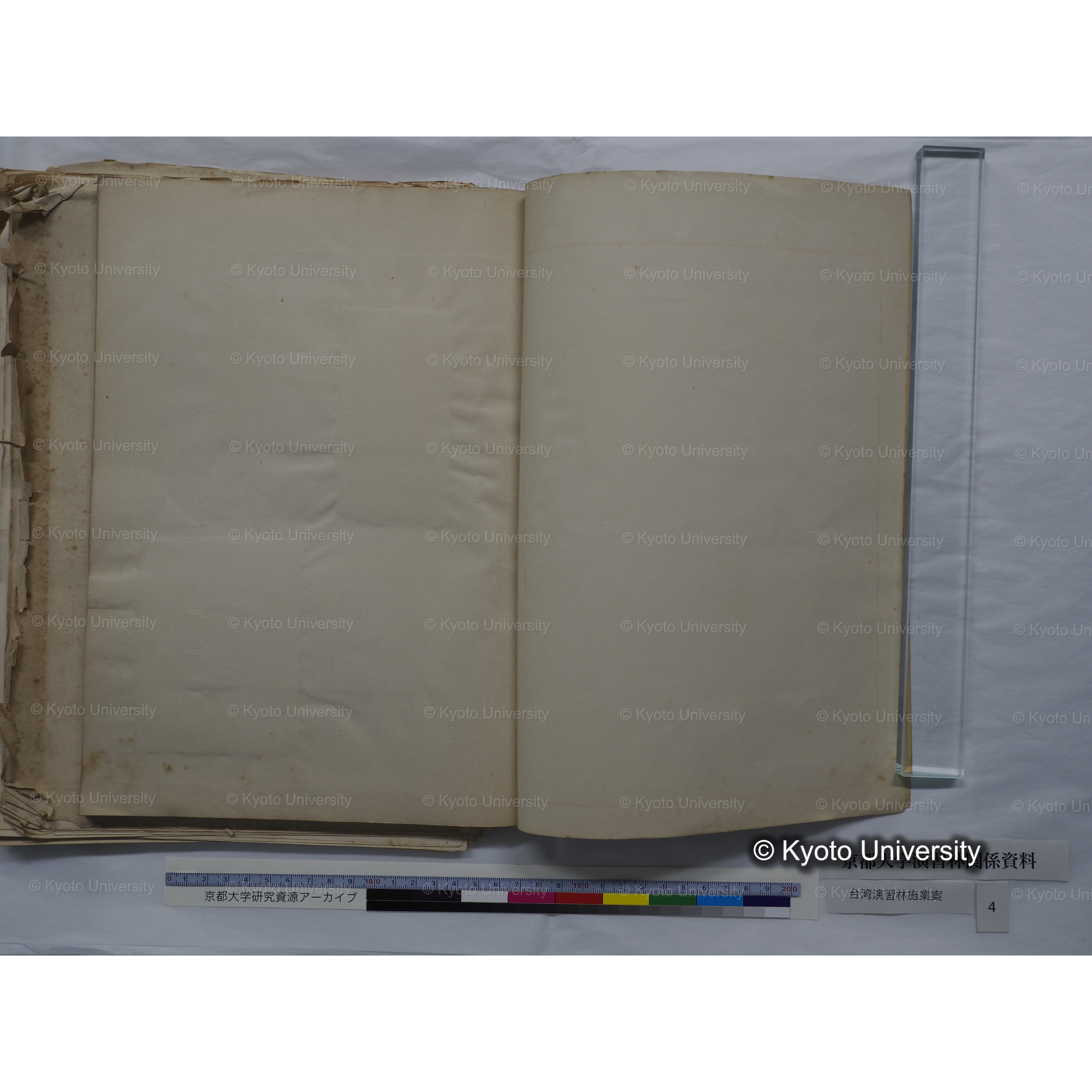 台湾演習林　施業案　実行期間＜自昭和 6年／至昭和12年＞　昭和六年四月編成. (81)