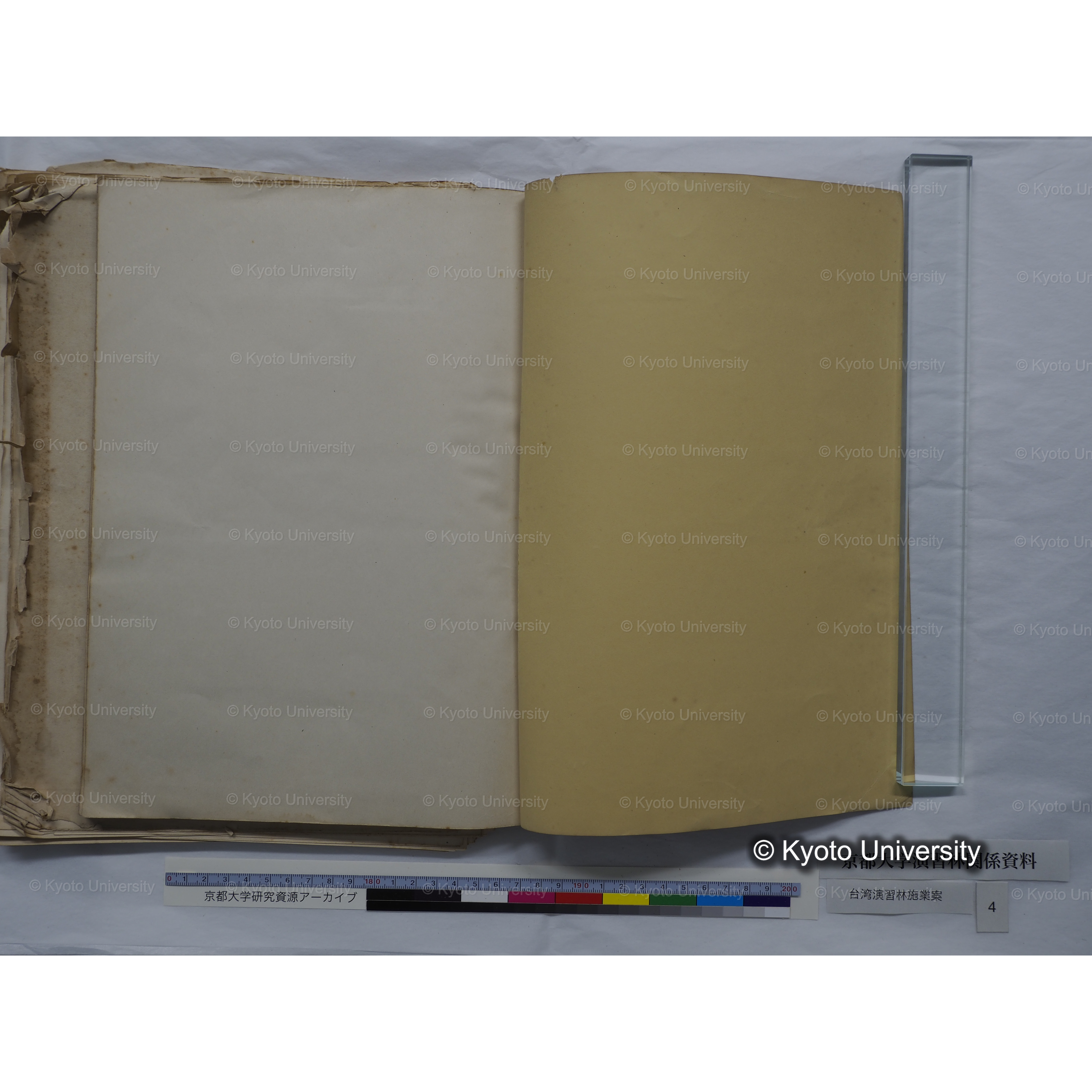 台湾演習林　施業案　実行期間＜自昭和 6年／至昭和12年＞　昭和六年四月編成. (82)