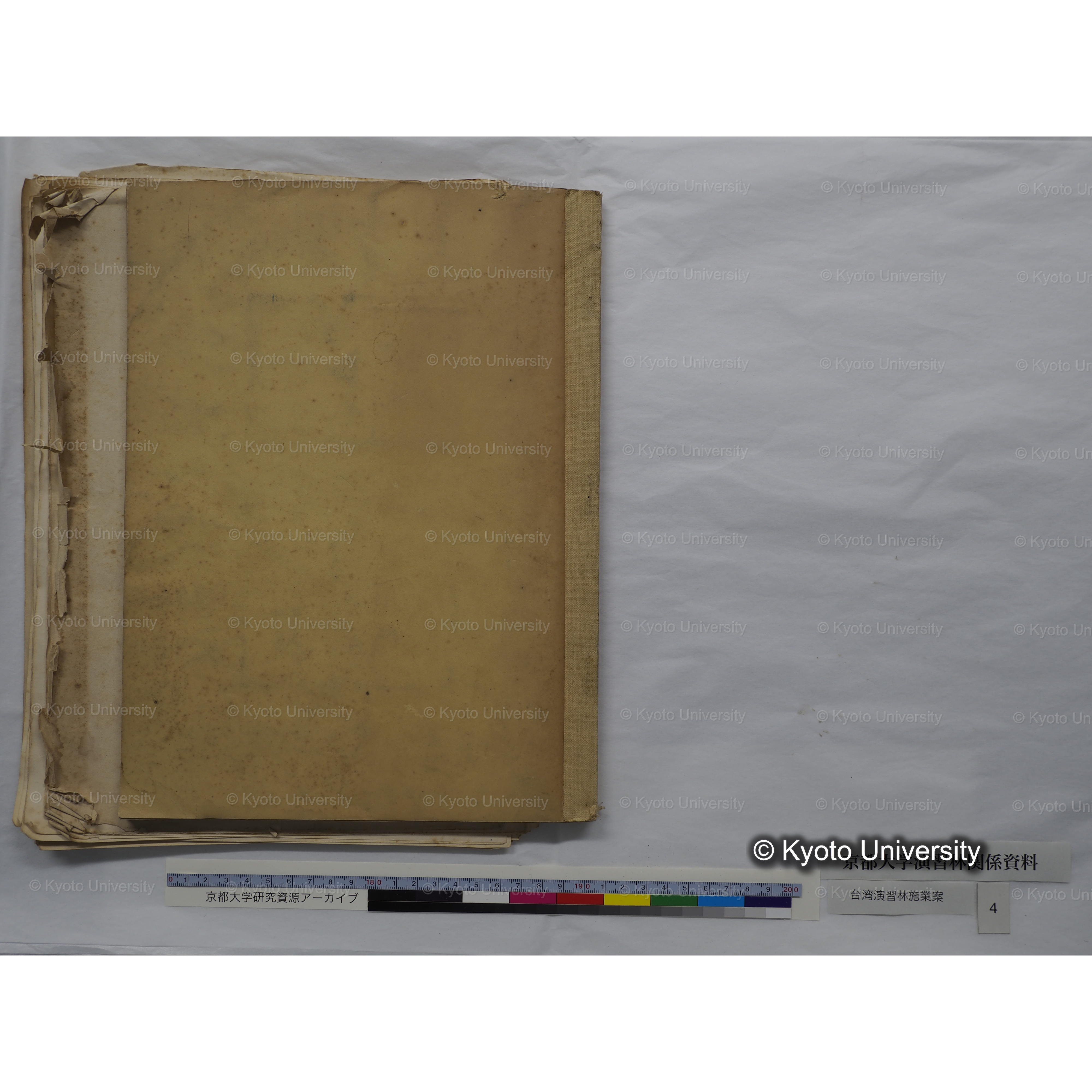 台湾演習林　施業案　実行期間＜自昭和 6年／至昭和12年＞　昭和六年四月編成. (83)