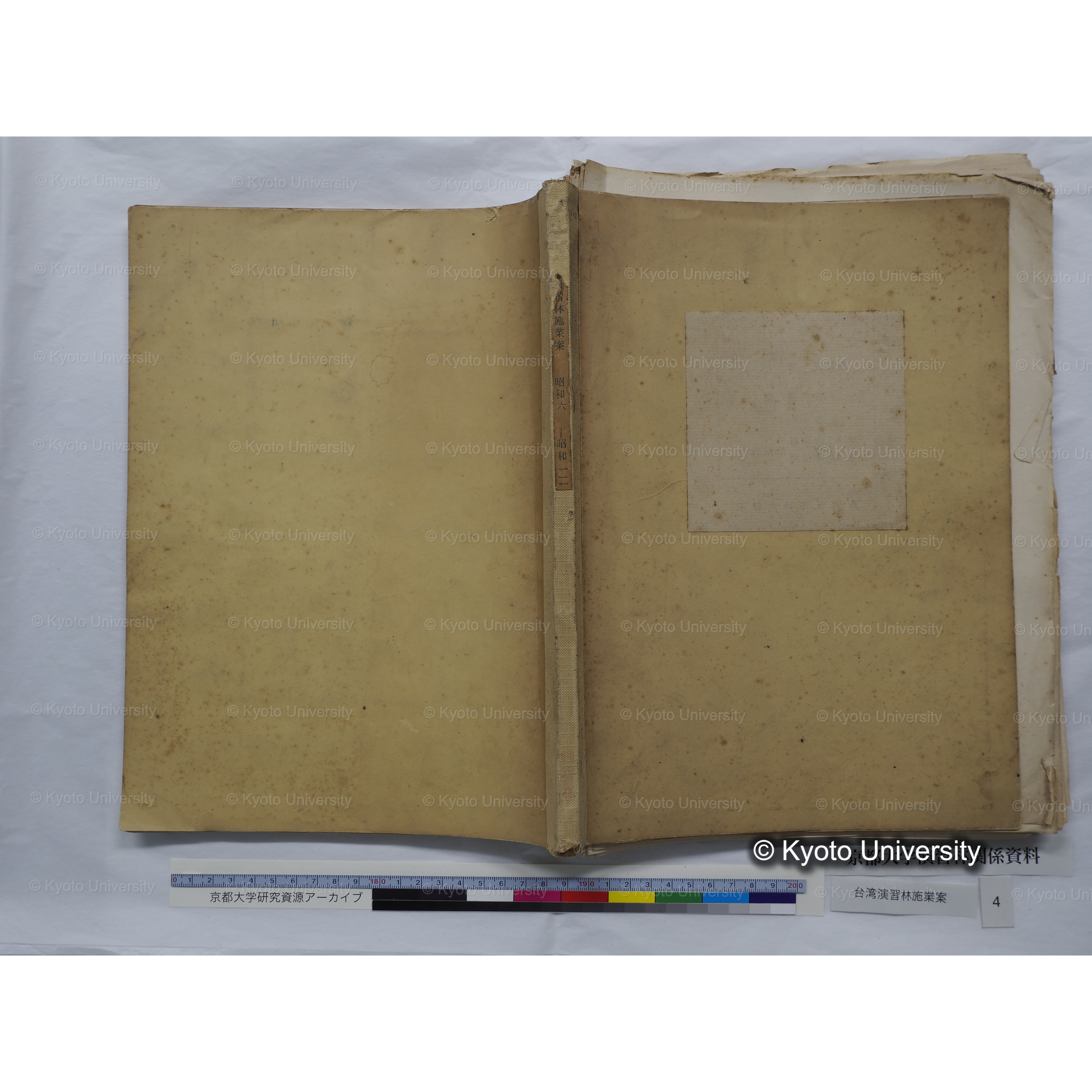 台湾演習林　施業案　実行期間＜自昭和 6年／至昭和12年＞　昭和六年四月編成. (84)