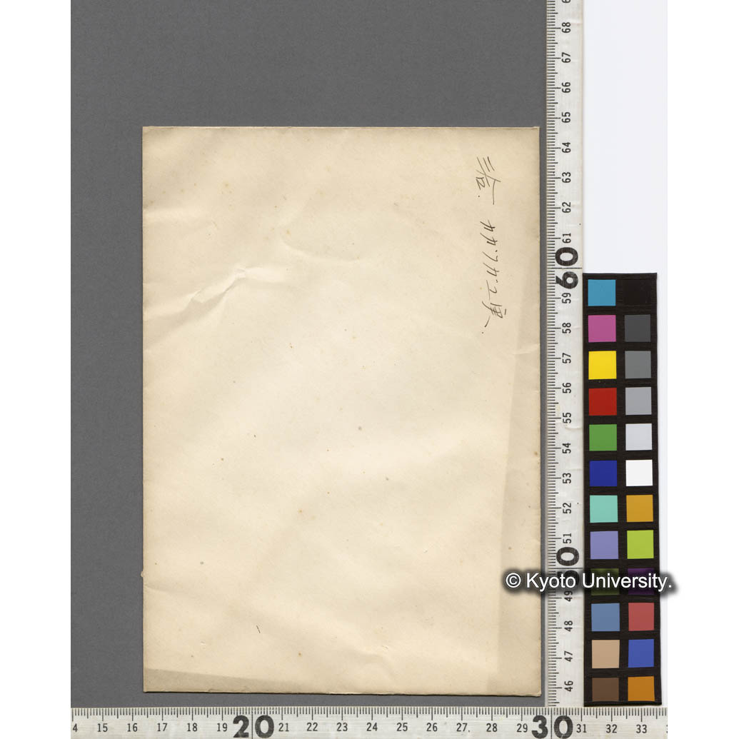 三合におけるカガツガユ実 (2)