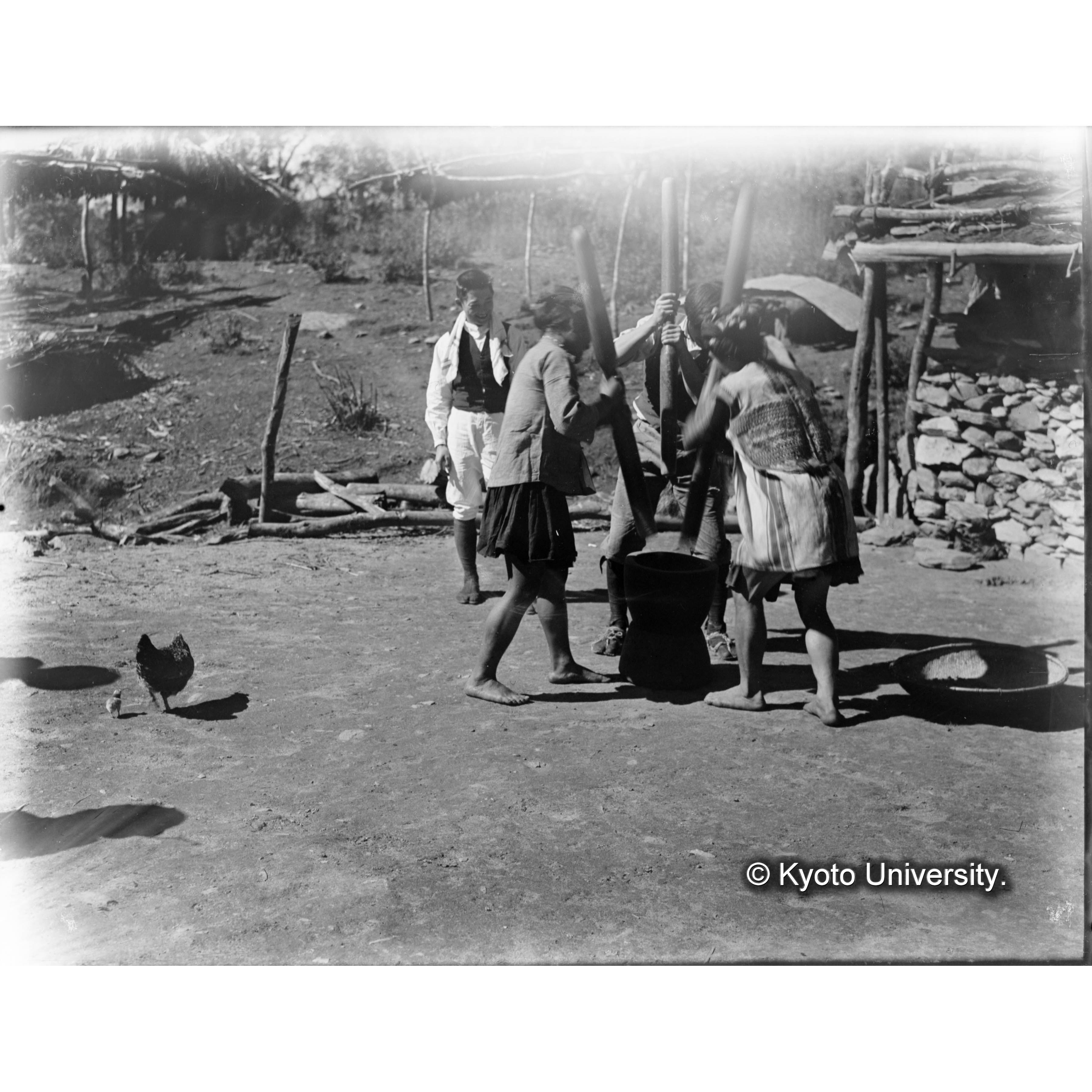 バリサン社の人々による粟餅つき (1)