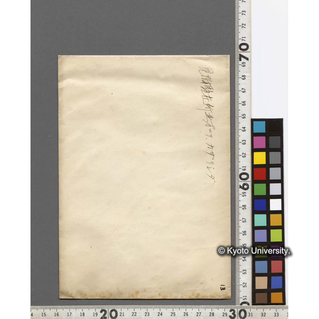 見附駐在所北方におけるカザリシダ (2)