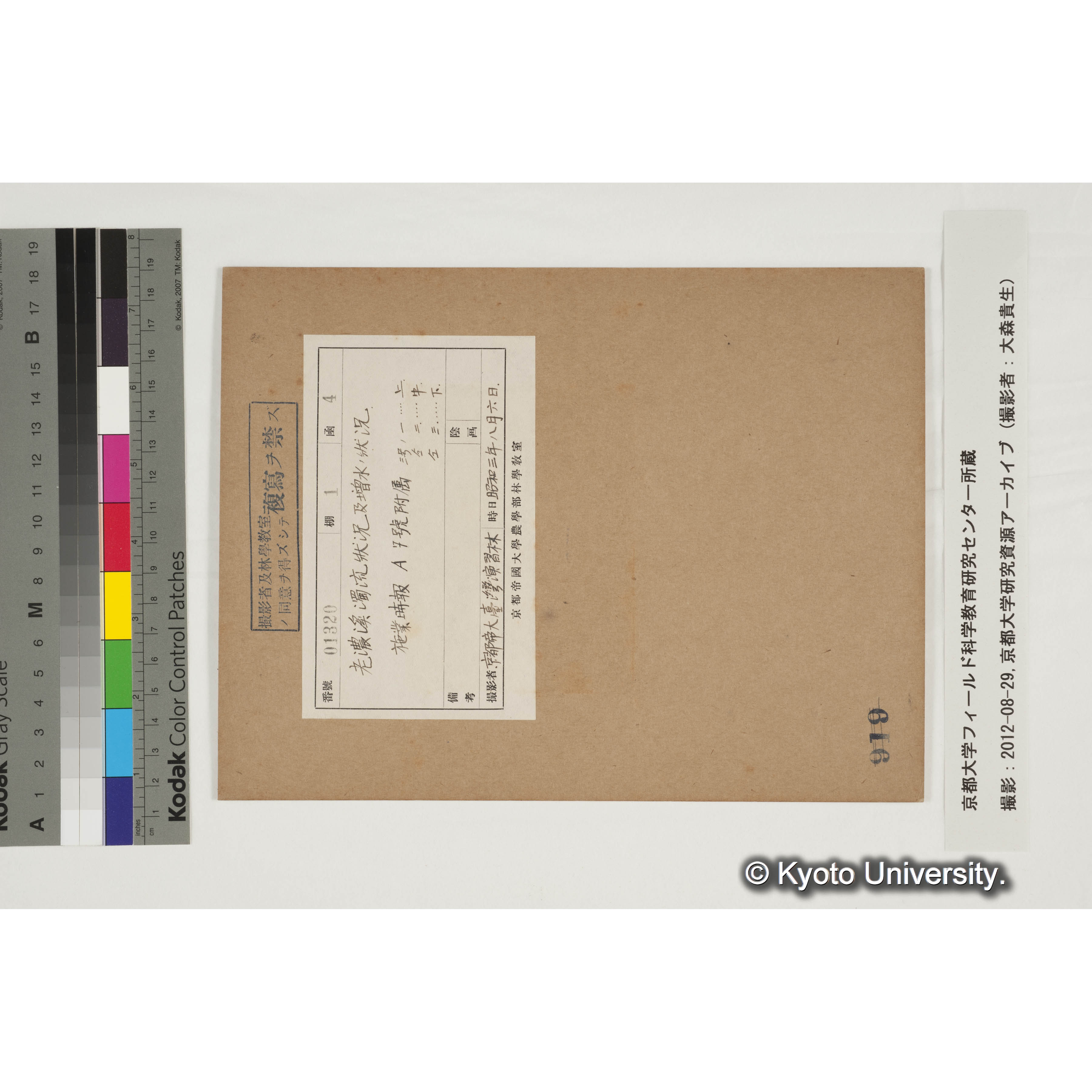 老濃渓濁流状況及び増水の状況 (3)