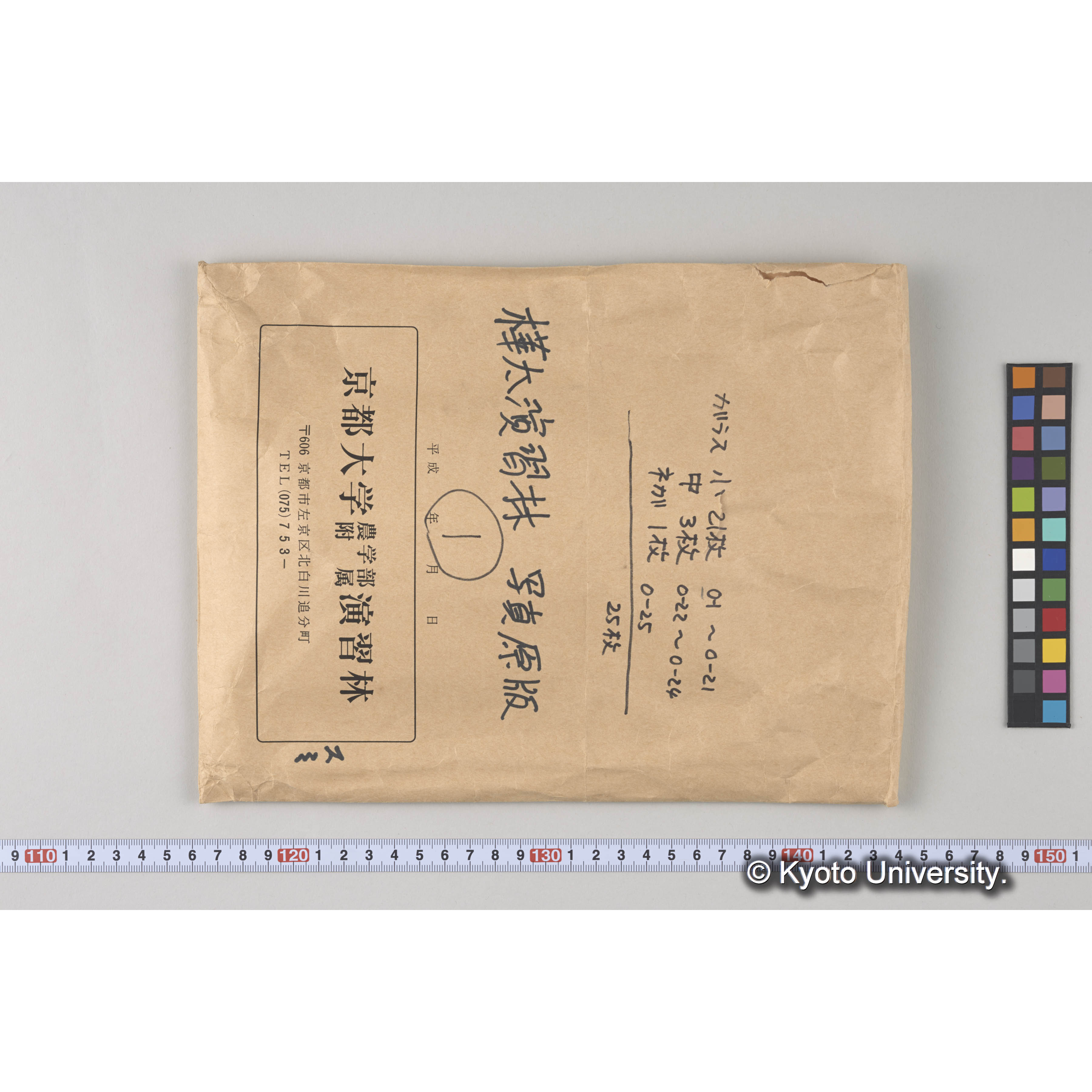 ガラス乾板O (5)