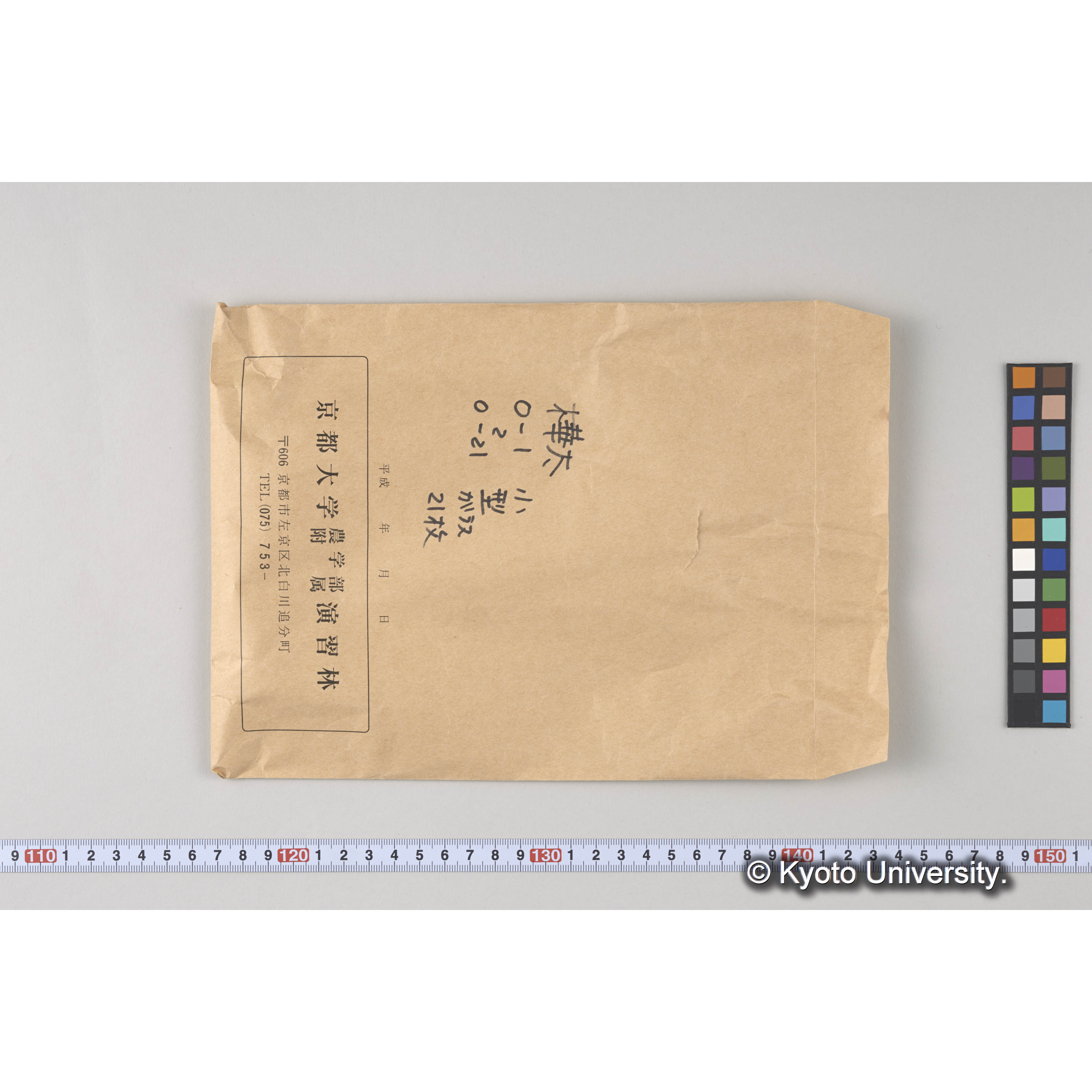 ガラス乾板O (6)