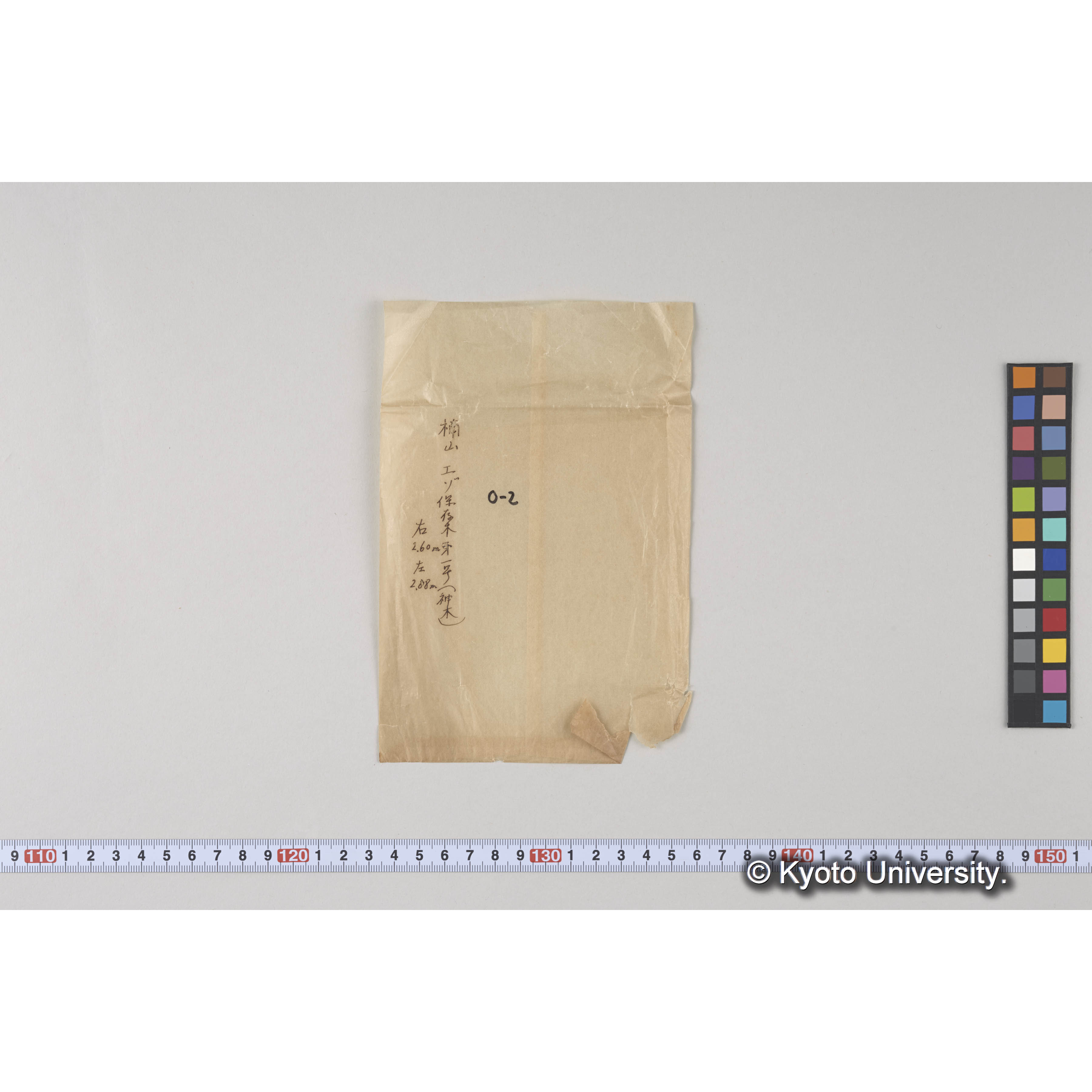 ガラス乾板O (7)