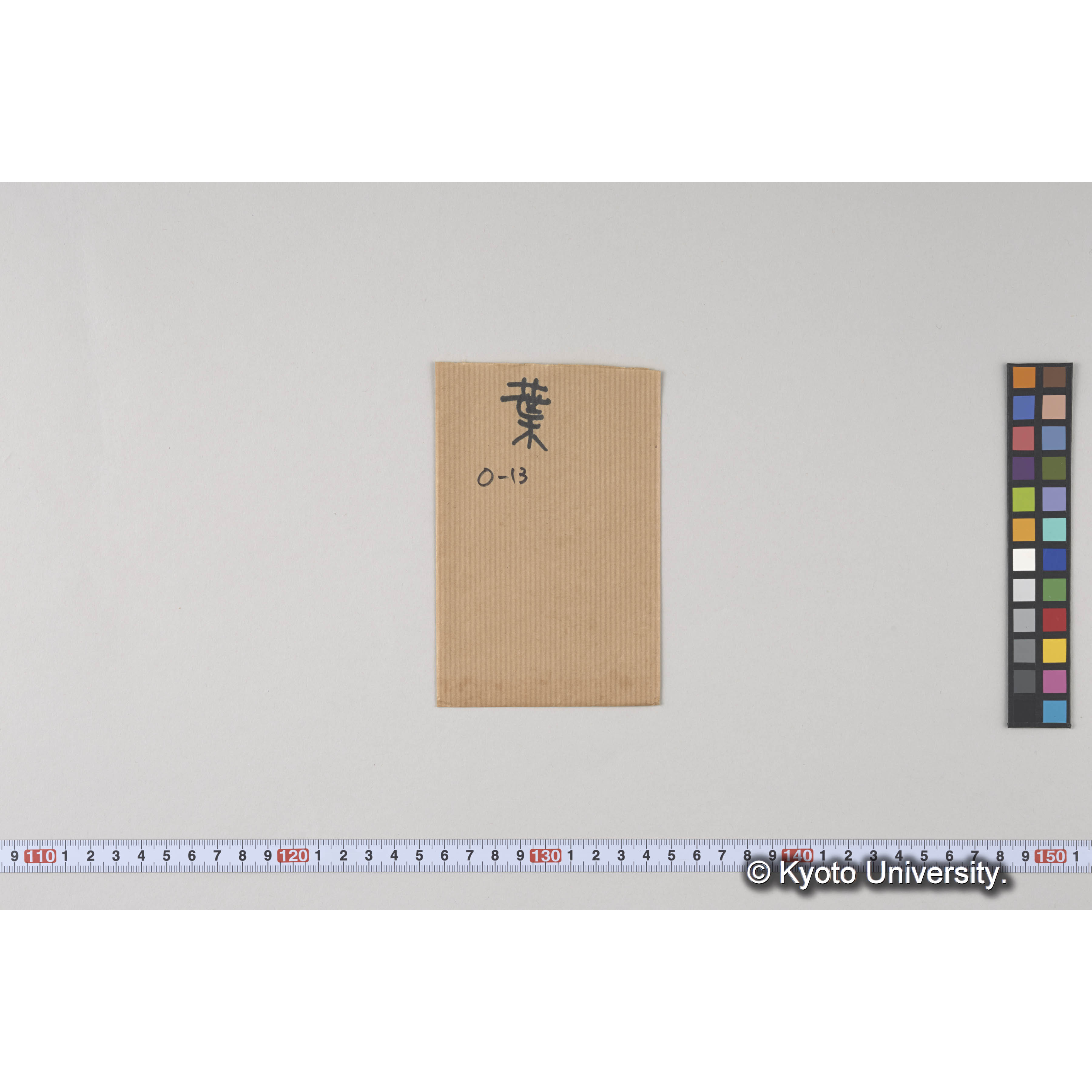 ガラス乾板O (18)