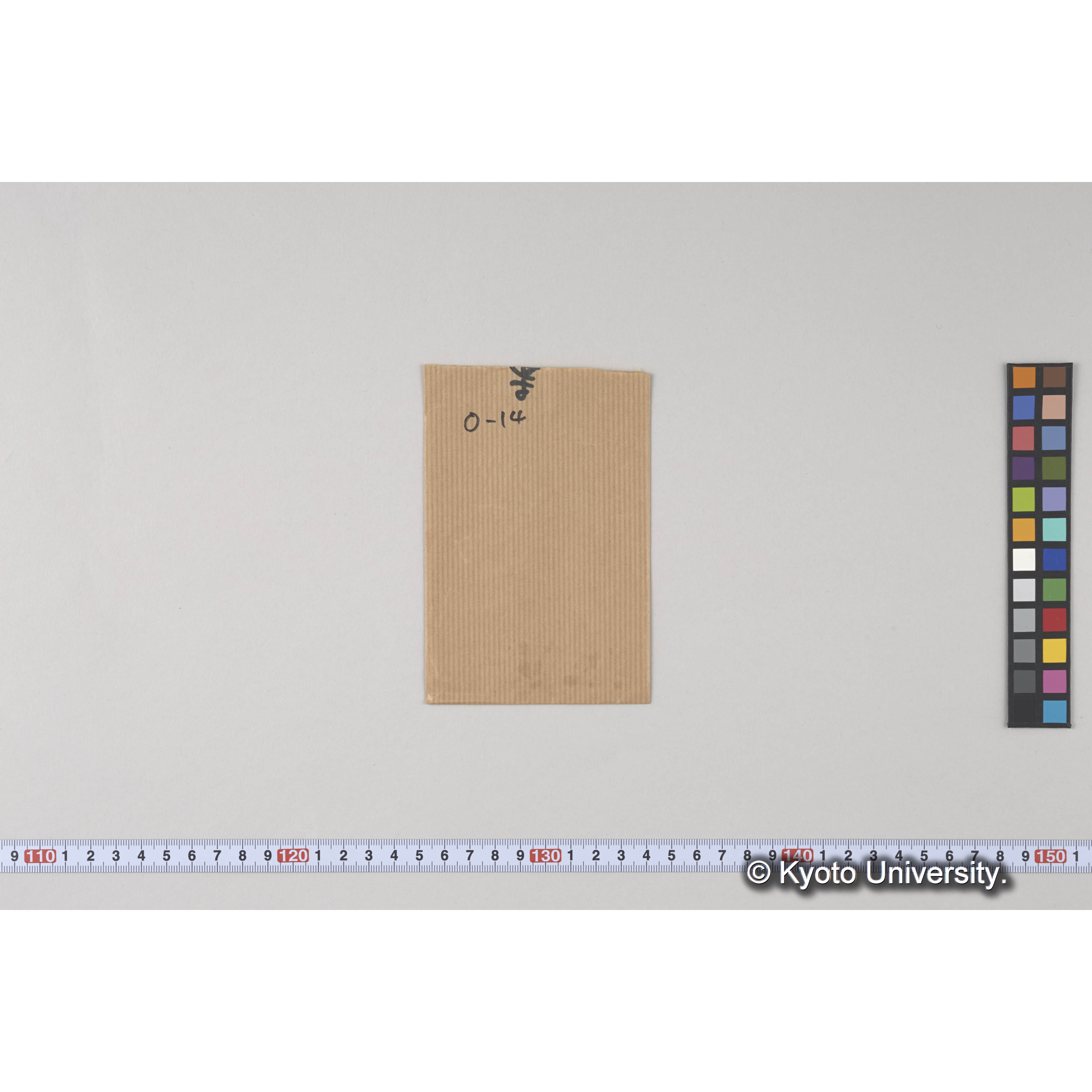 ガラス乾板O (19)