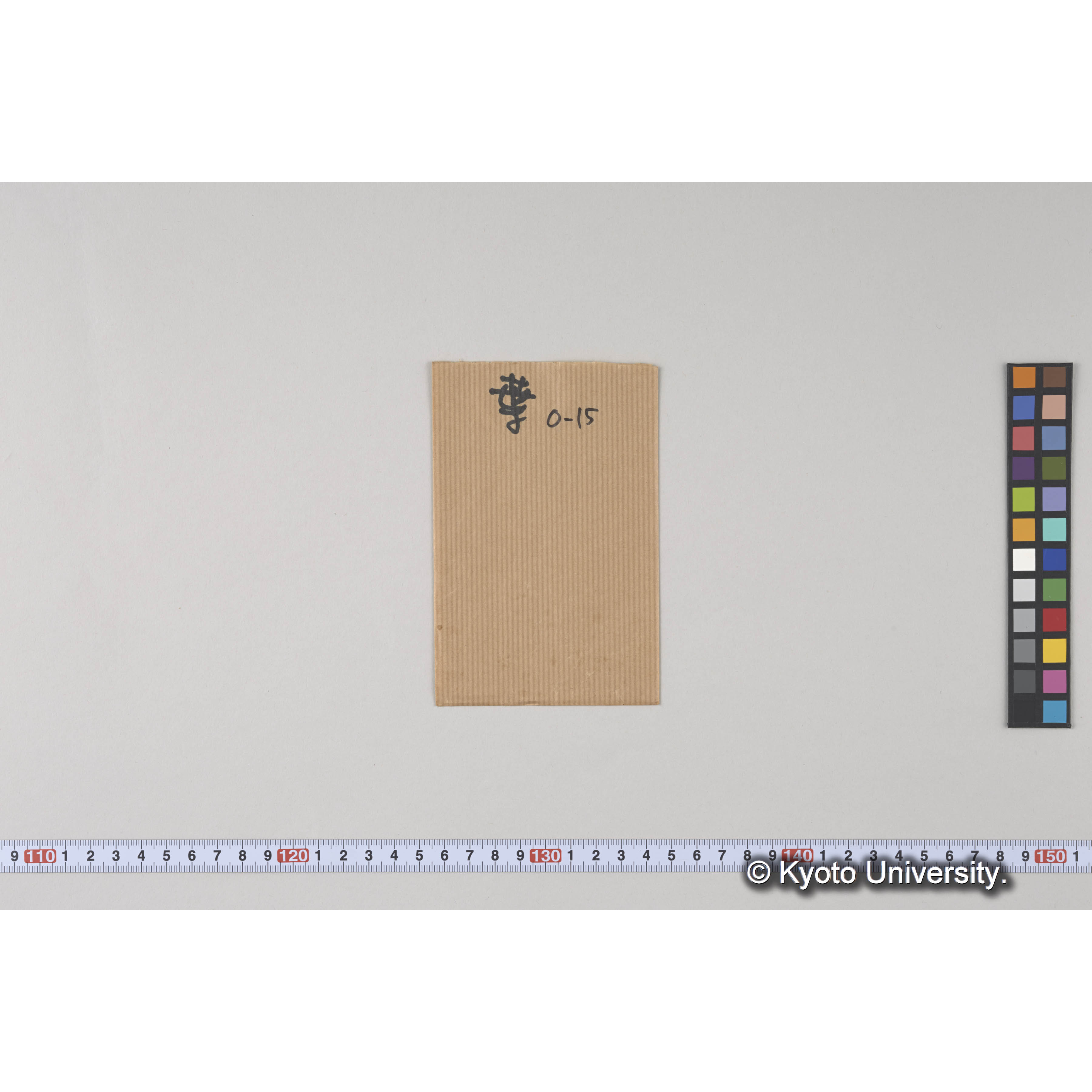 ガラス乾板O (20)