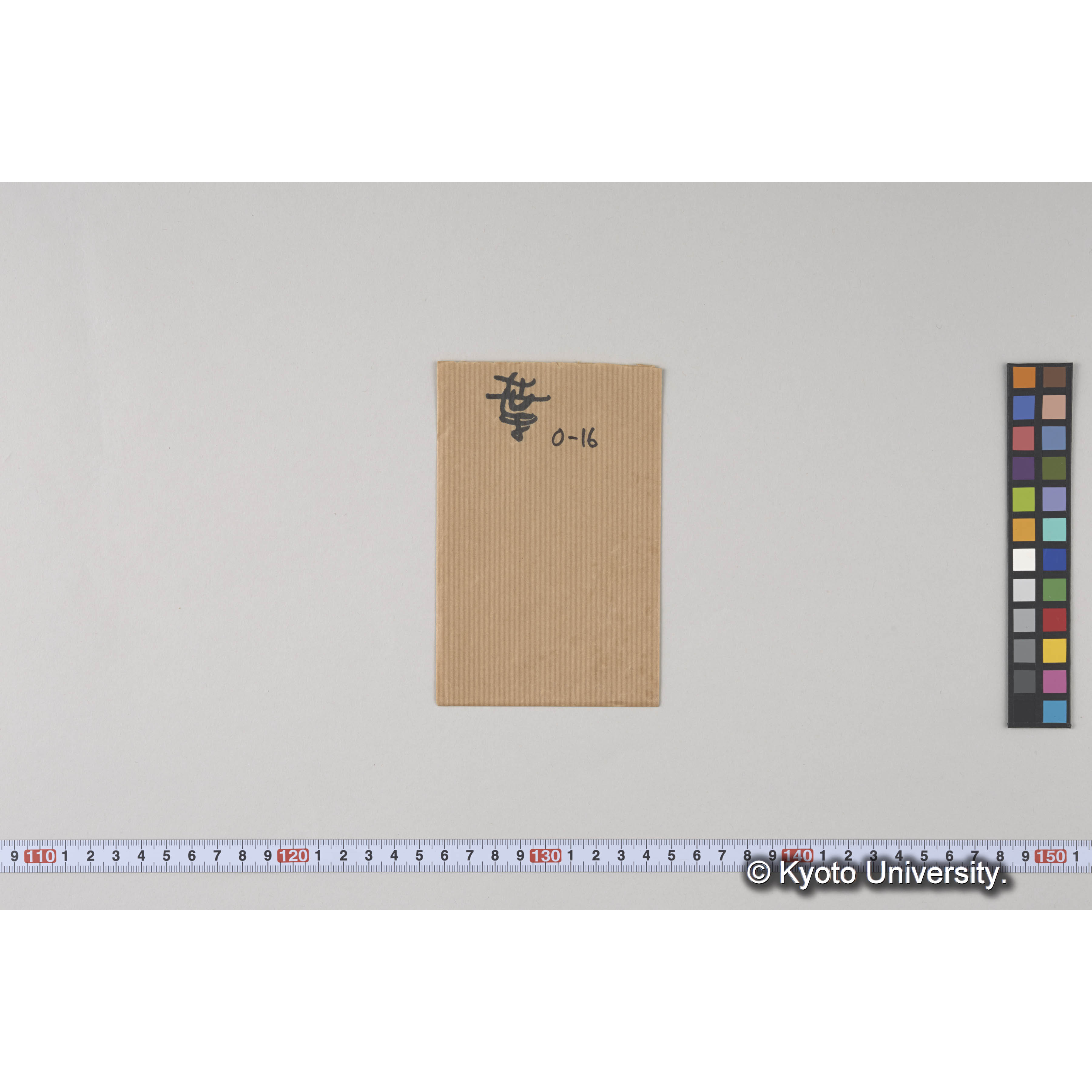 ガラス乾板O (21)