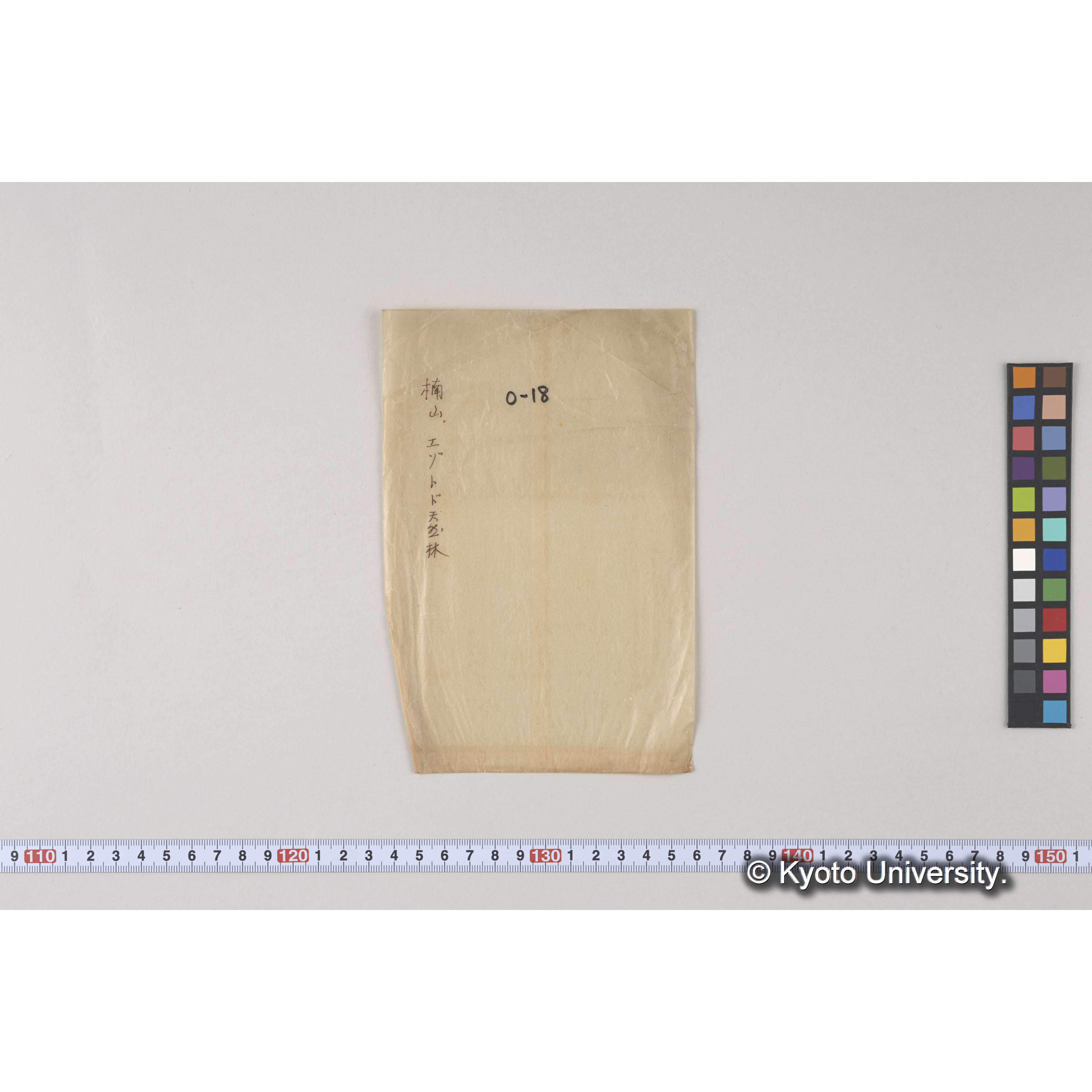 ガラス乾板O (23)