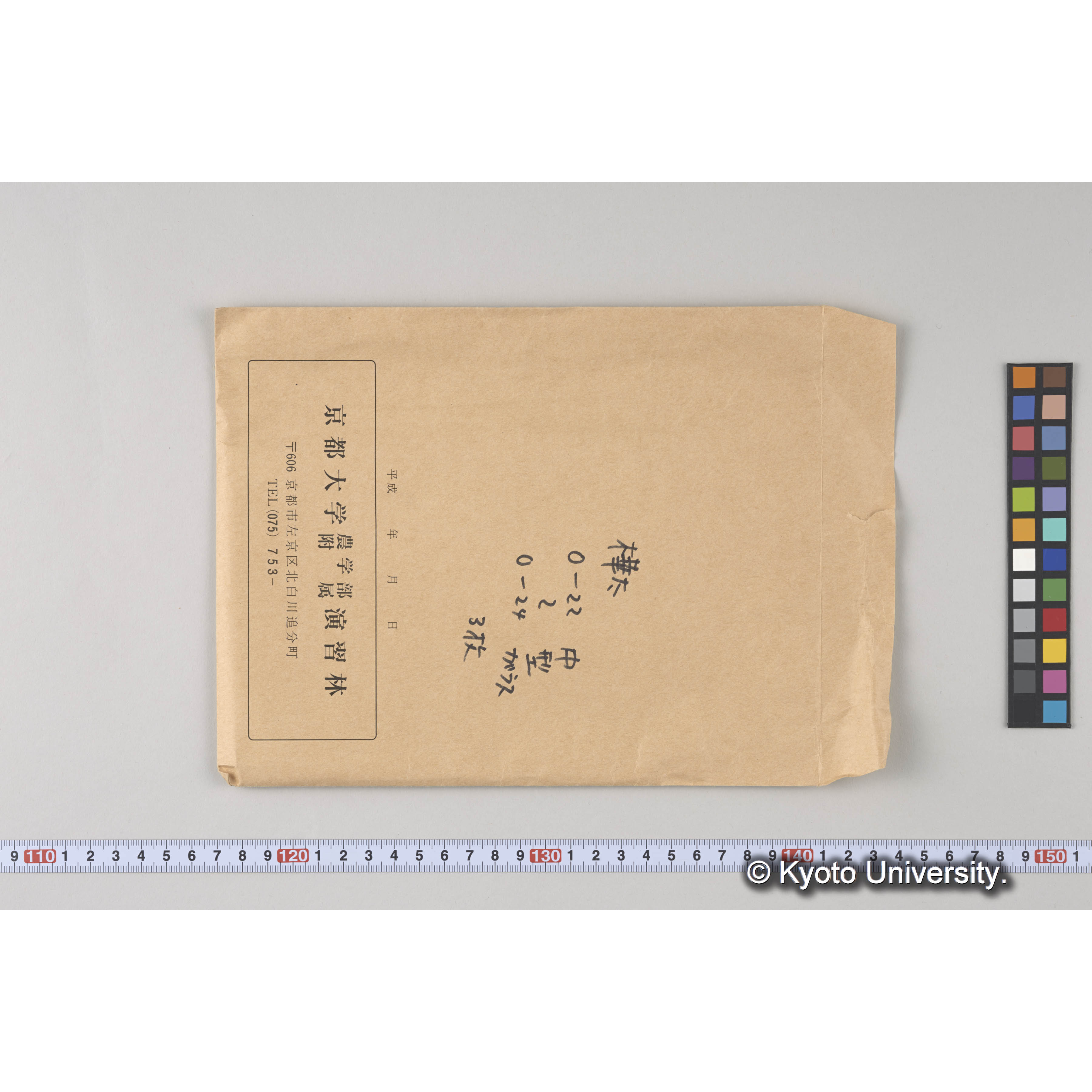 ガラス乾板O (28)